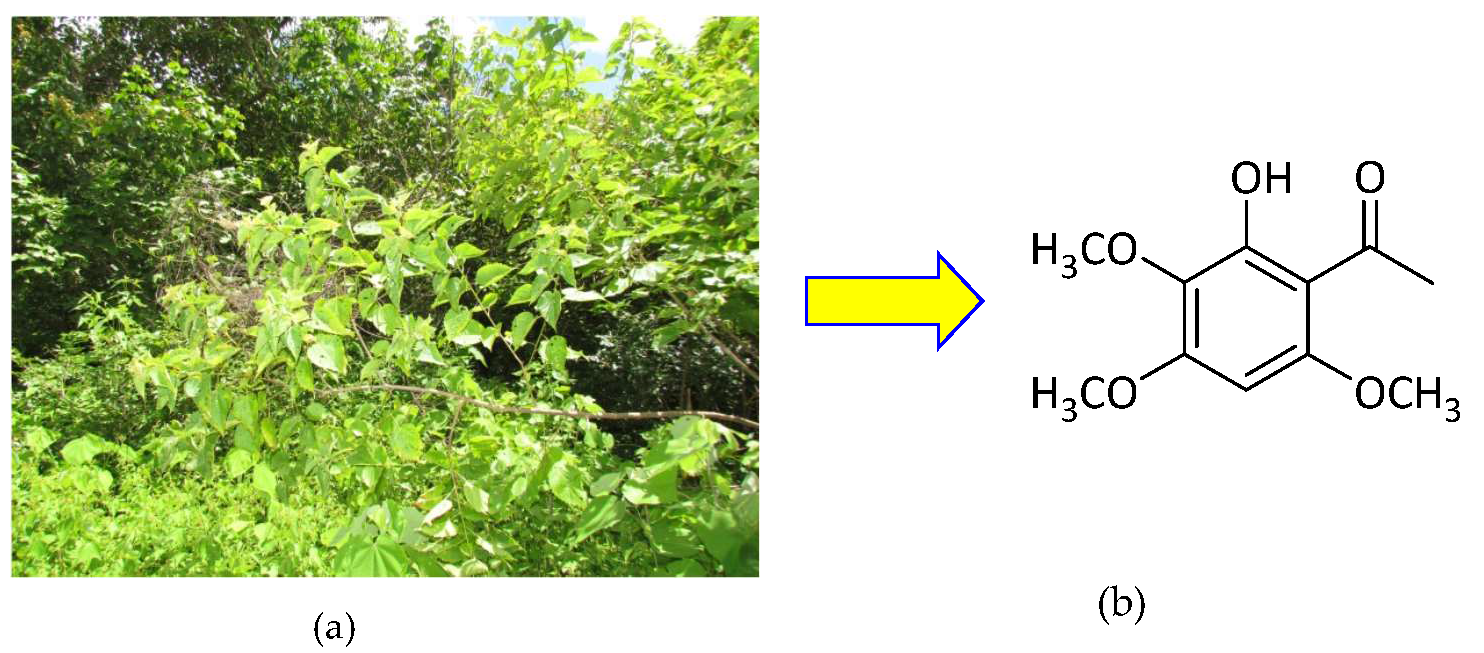 Applsci 10 04713 g001 Applsci 10 04713 g001