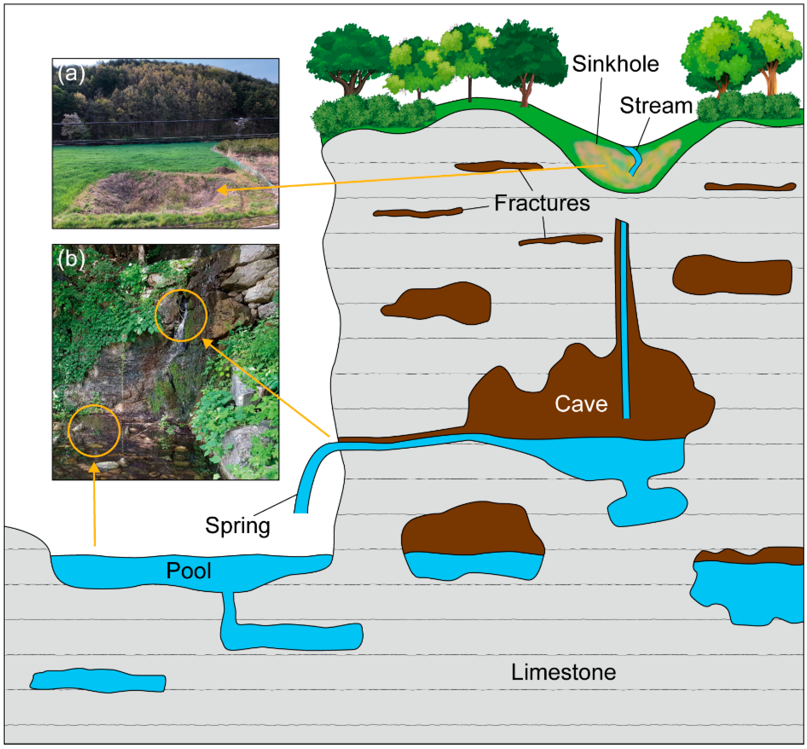 Applsci 10 04714 g001 Applsci 10 04714 g001