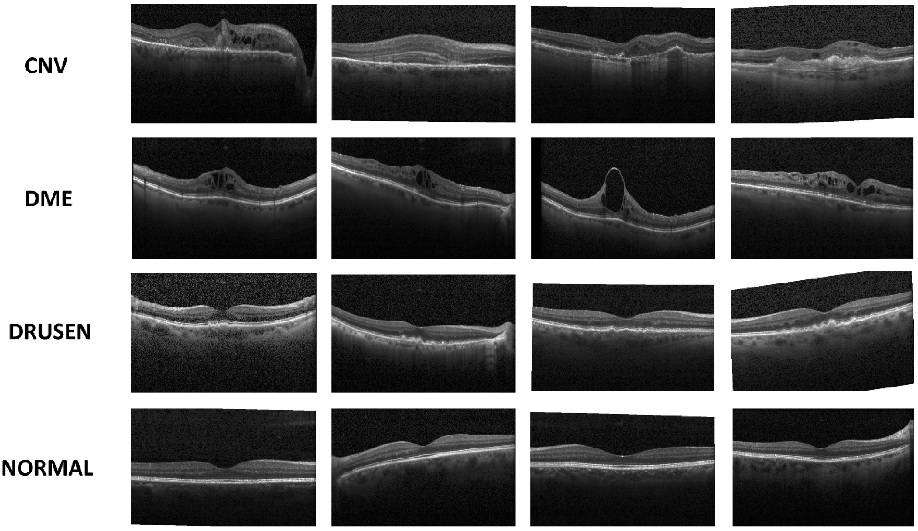 Applsci 10 04716 g002