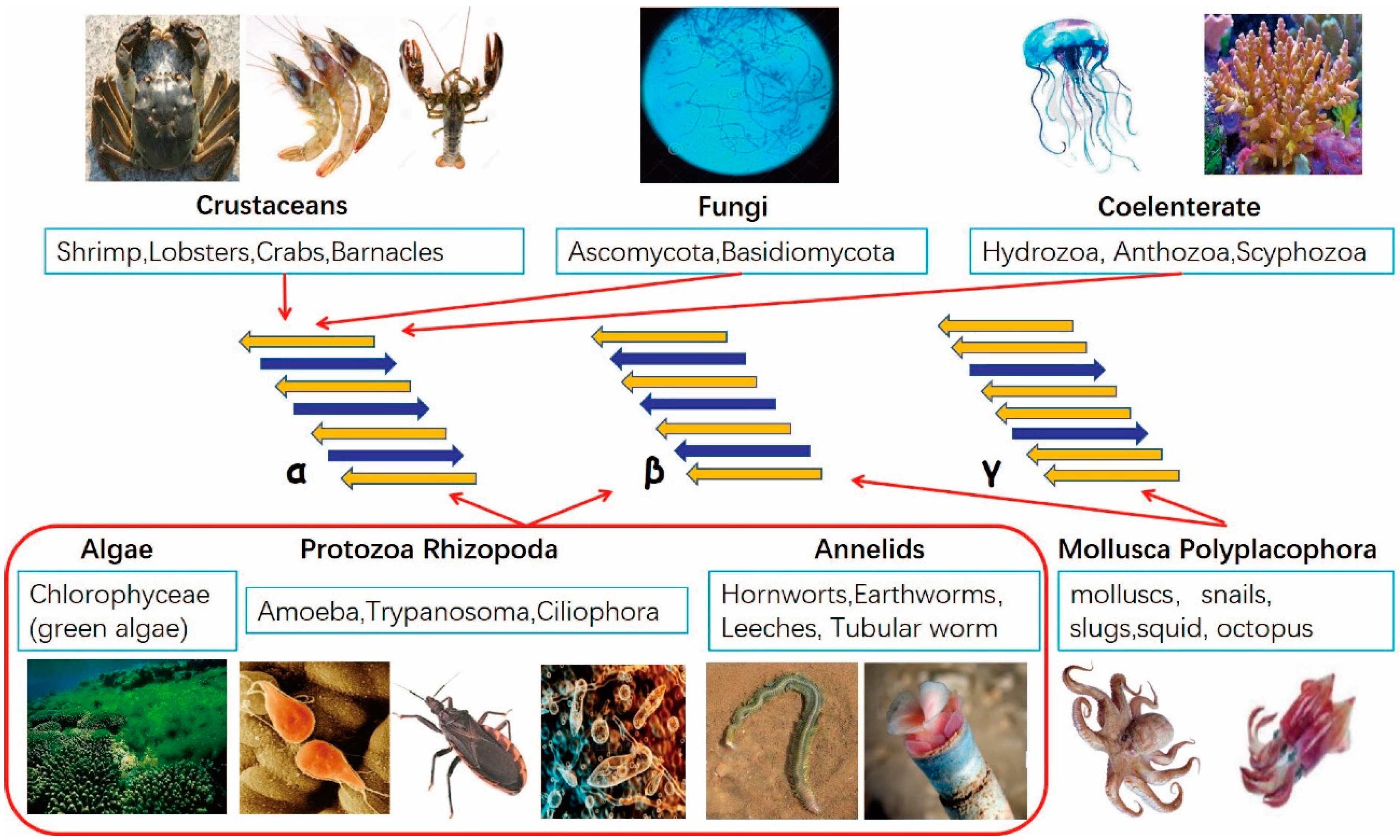 Applsci 10 04719 g002 Applsci 10 04719 g002