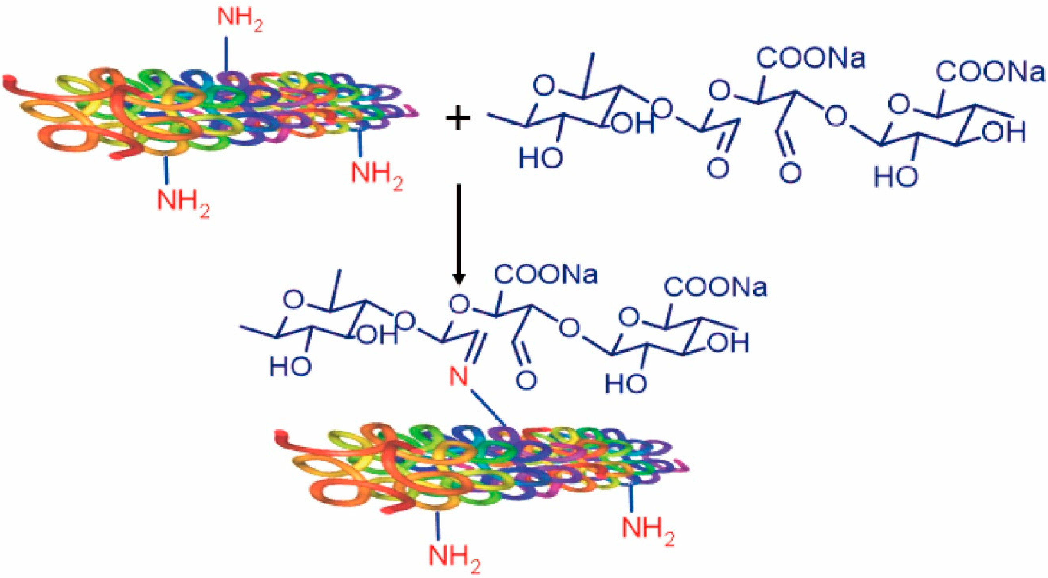 Applsci 10 04719 g007 Applsci 10 04719 g007