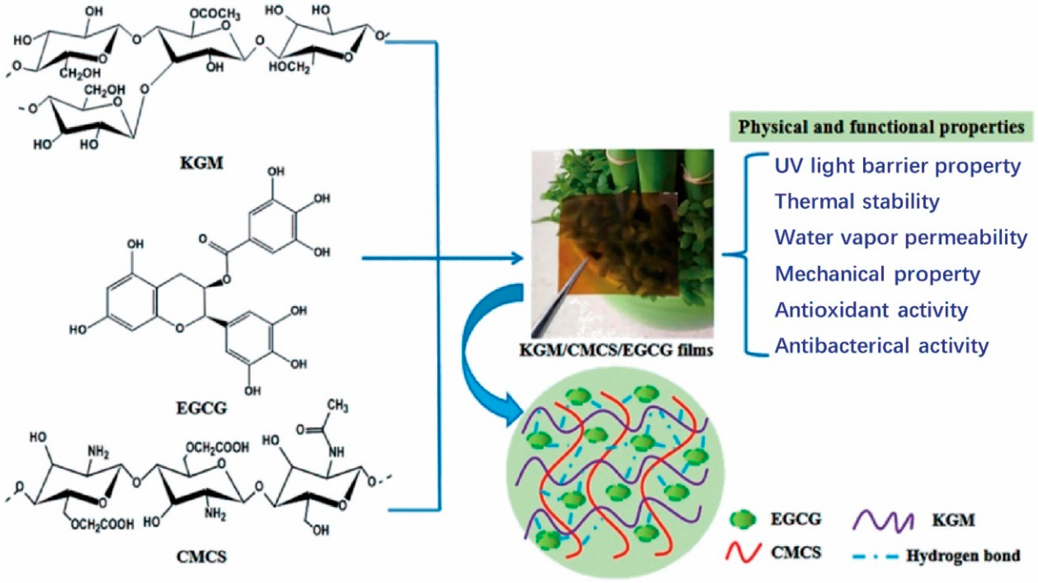 Applsci 10 04719 g008 Applsci 10 04719 g008