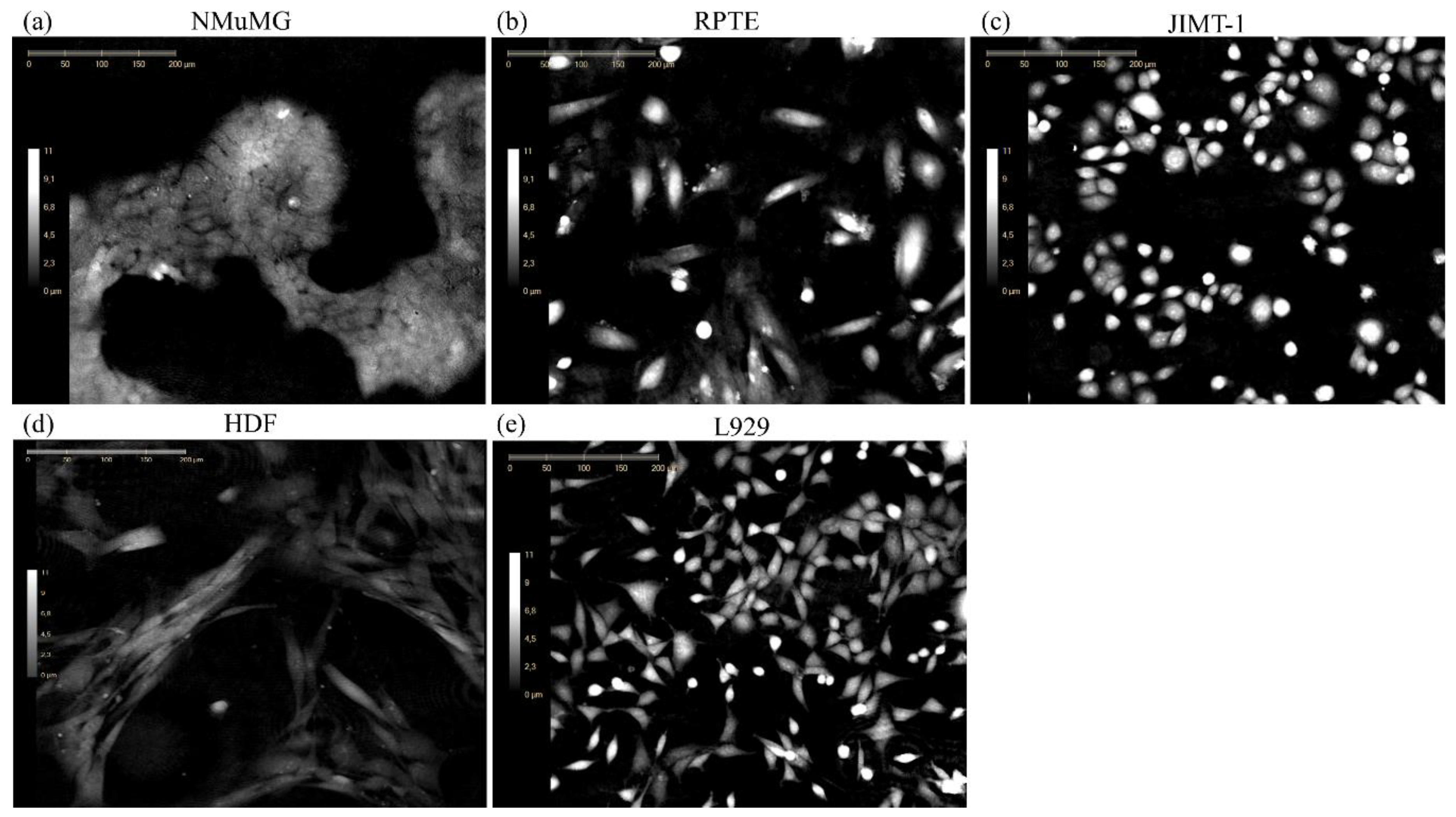 Applsci 10 04726 g004 Applsci 10 04726 g004