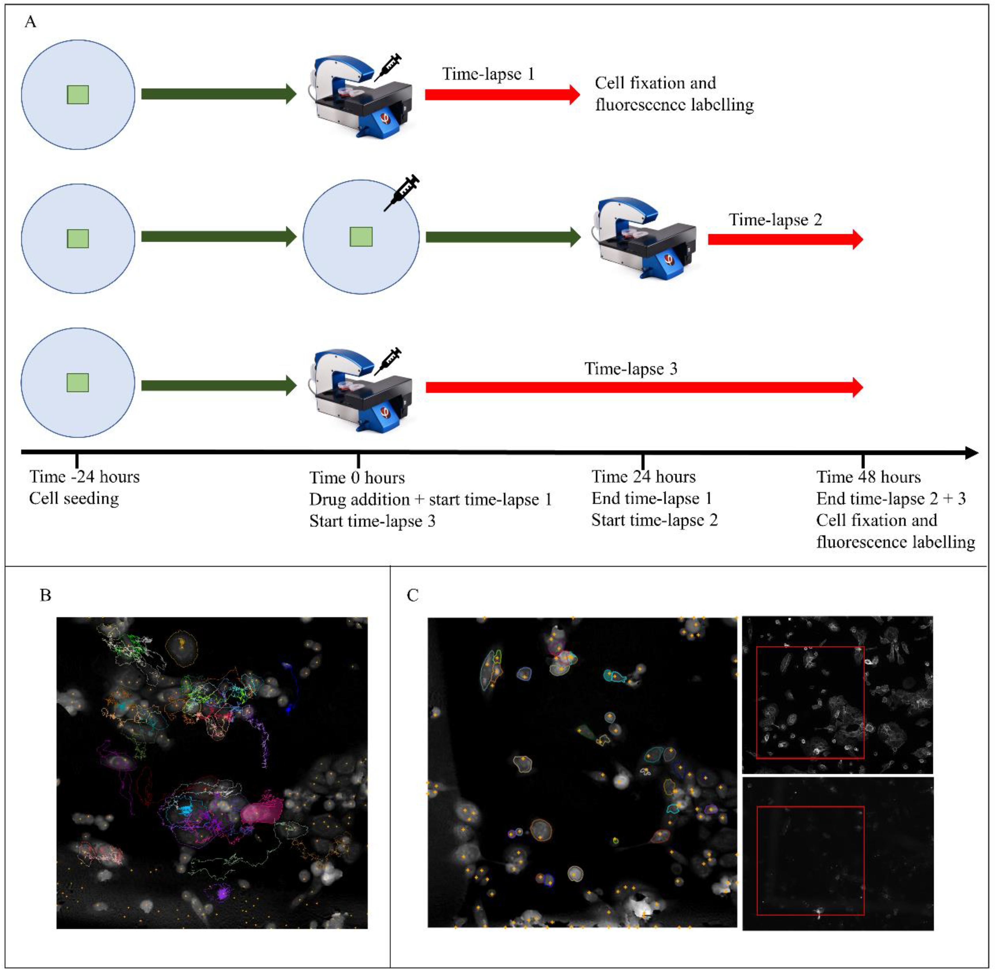 Applsci 10 04732 g001 Applsci 10 04732 g001