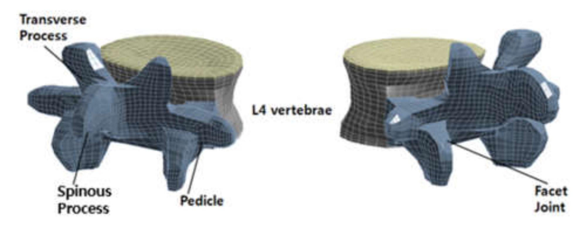 Applsci 10 04746 g005