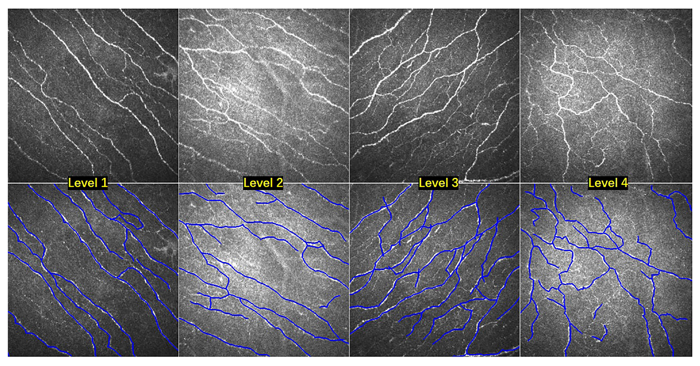 Applsci 10 04788 g004 Applsci 10 04788 g004