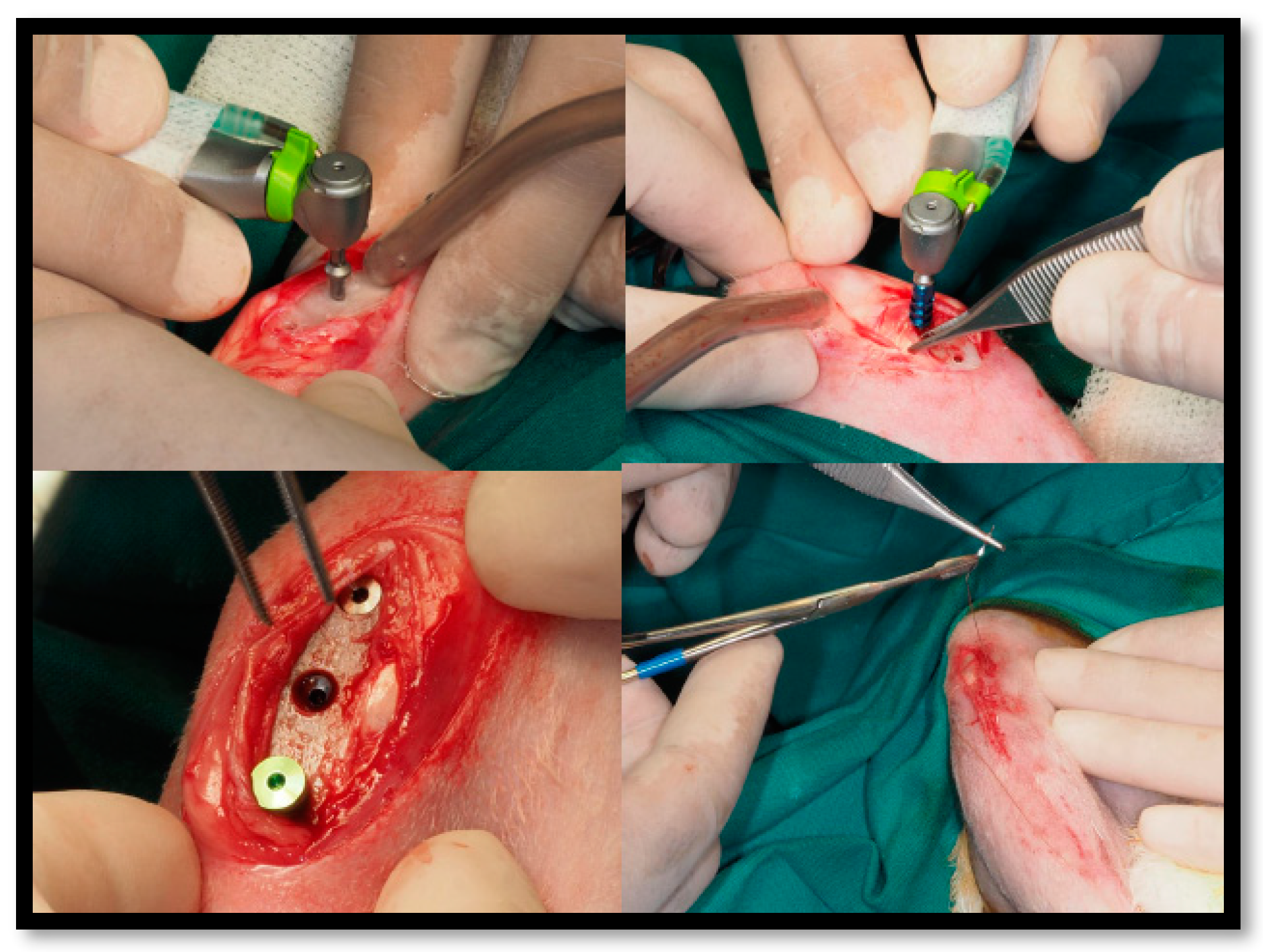 Applsci 10 04790 g003 Applsci 10 04790 g003