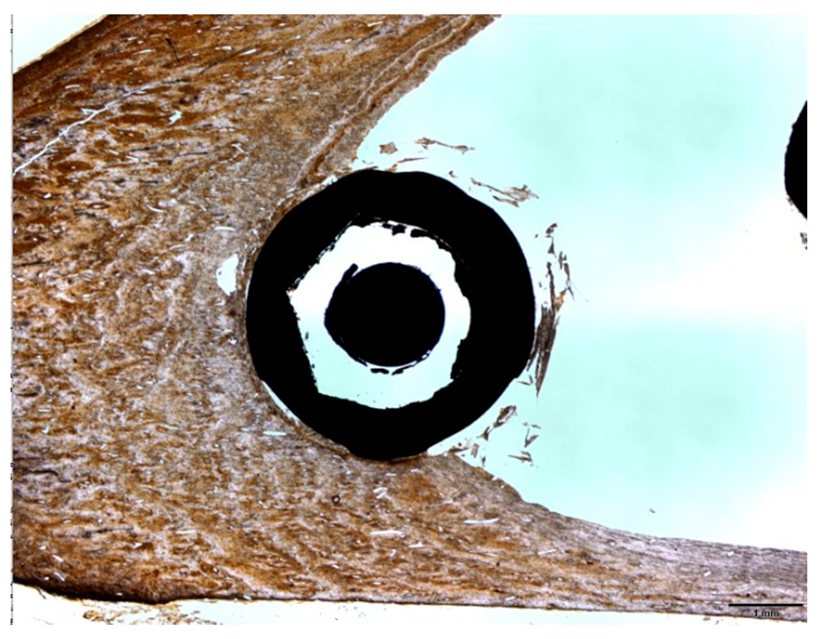 Applsci 10 04790 g019 Applsci 10 04790 g019