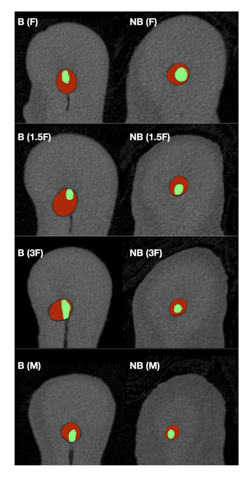 Applsci 10 04805 g001 Applsci 10 04805 g001
