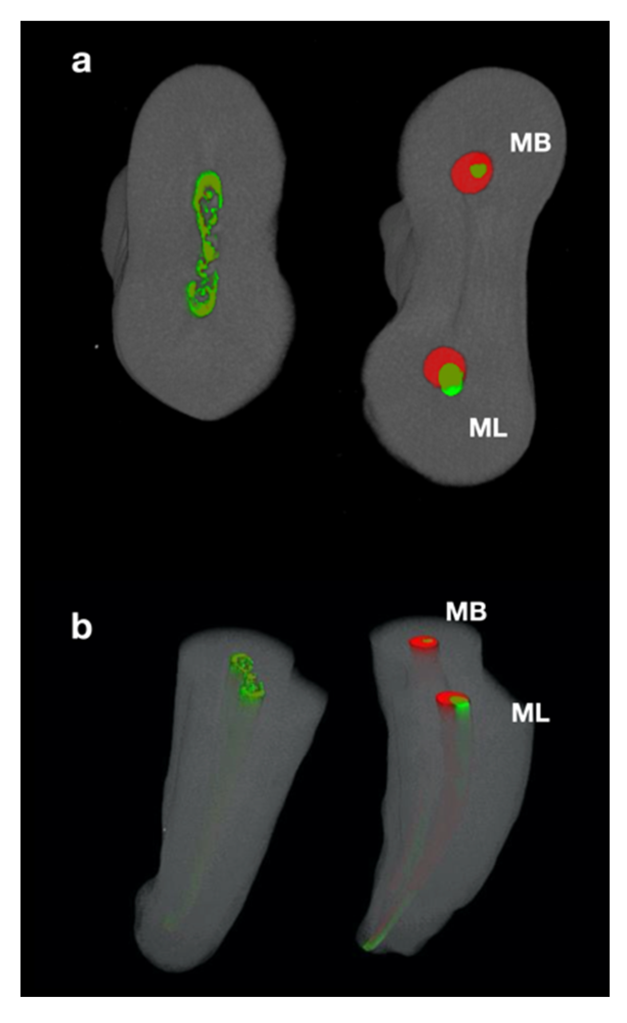 Applsci 10 04805 g002 Applsci 10 04805 g002