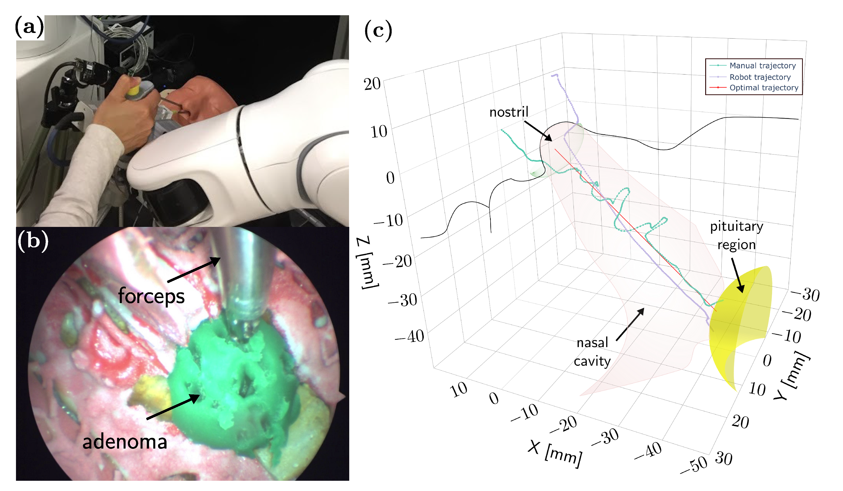 Applsci 10 04809 g012 Applsci 10 04809 g012