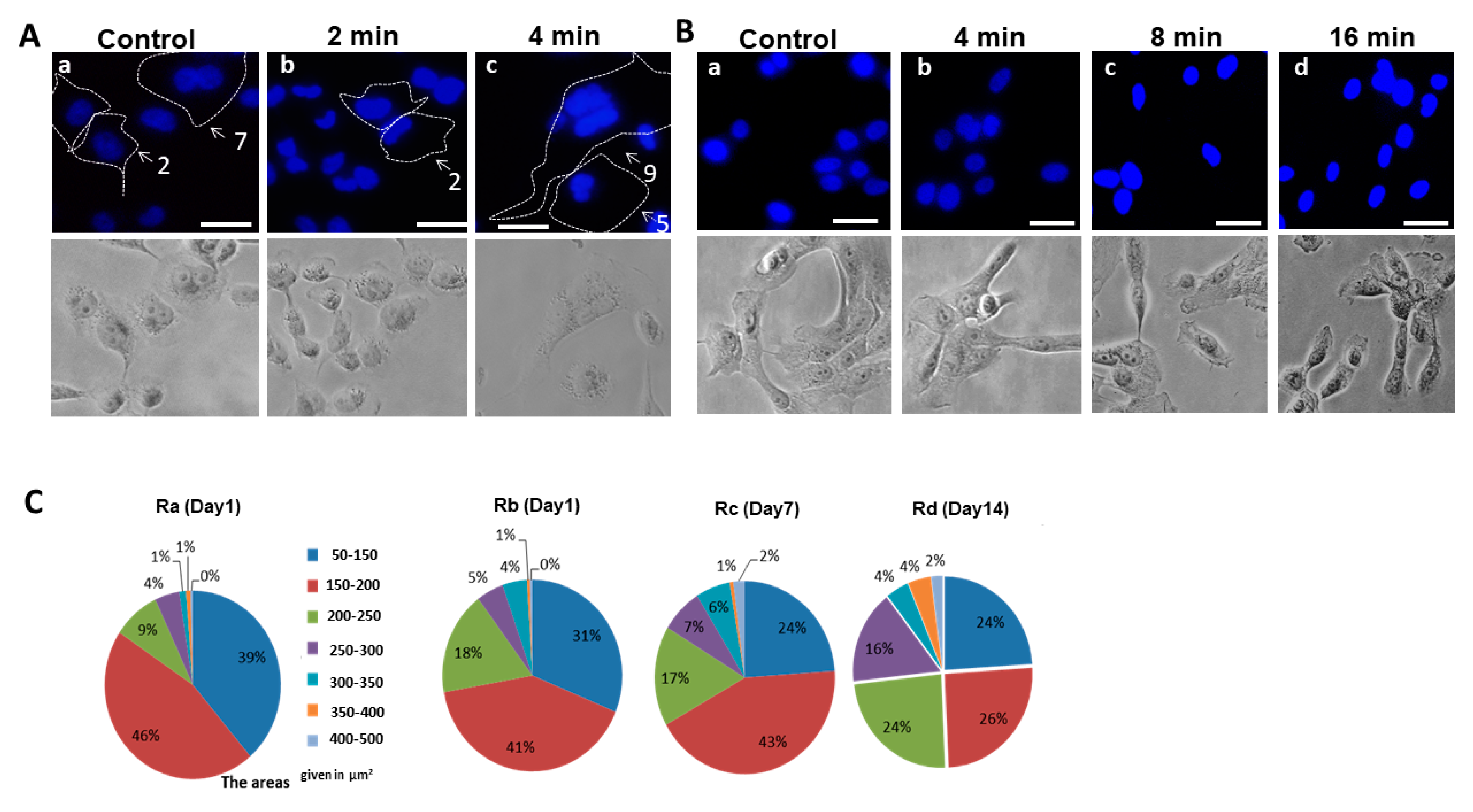 Applsci 10 04813 g002 Applsci 10 04813 g002