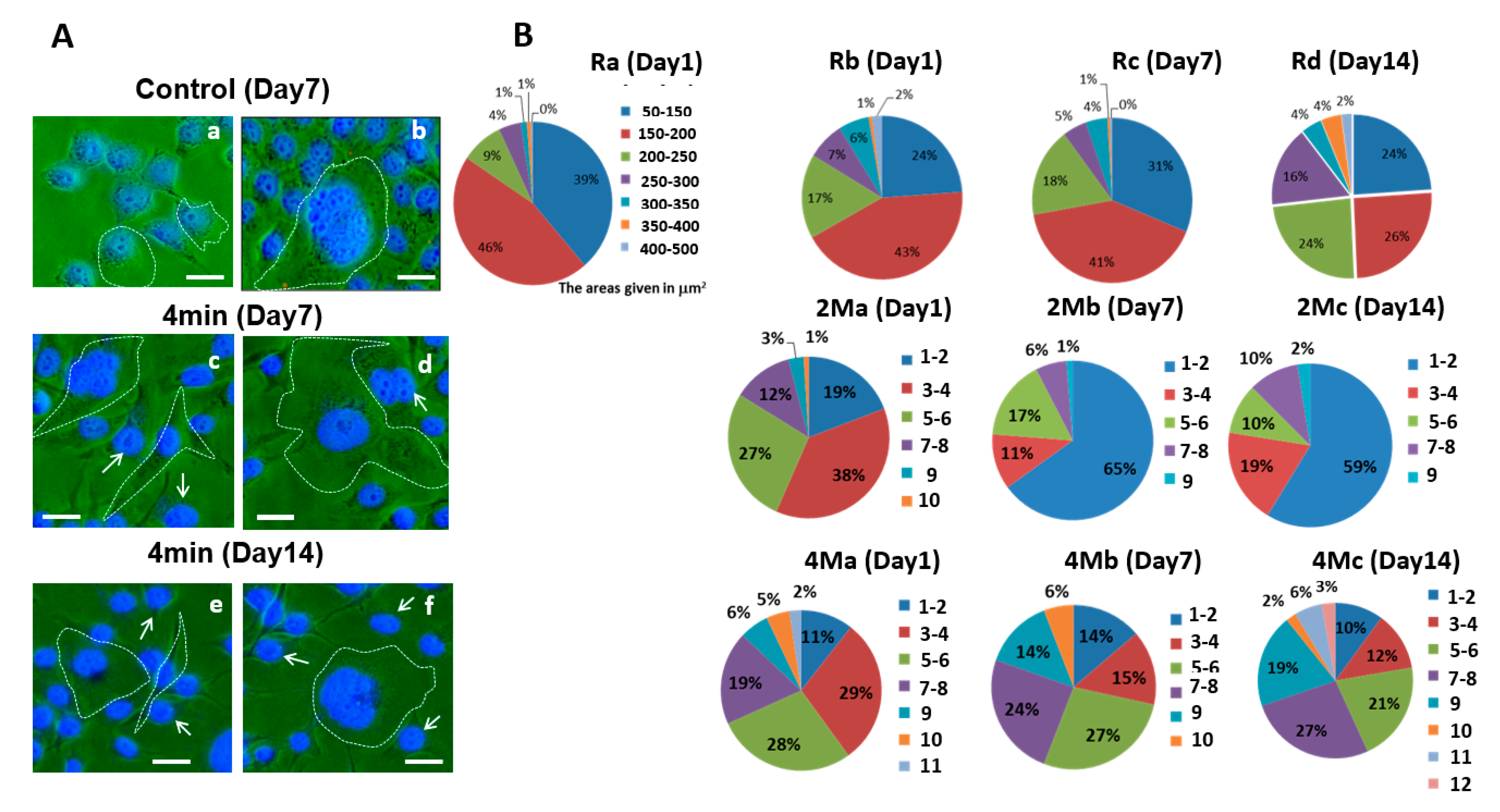 Applsci 10 04813 g003 Applsci 10 04813 g003