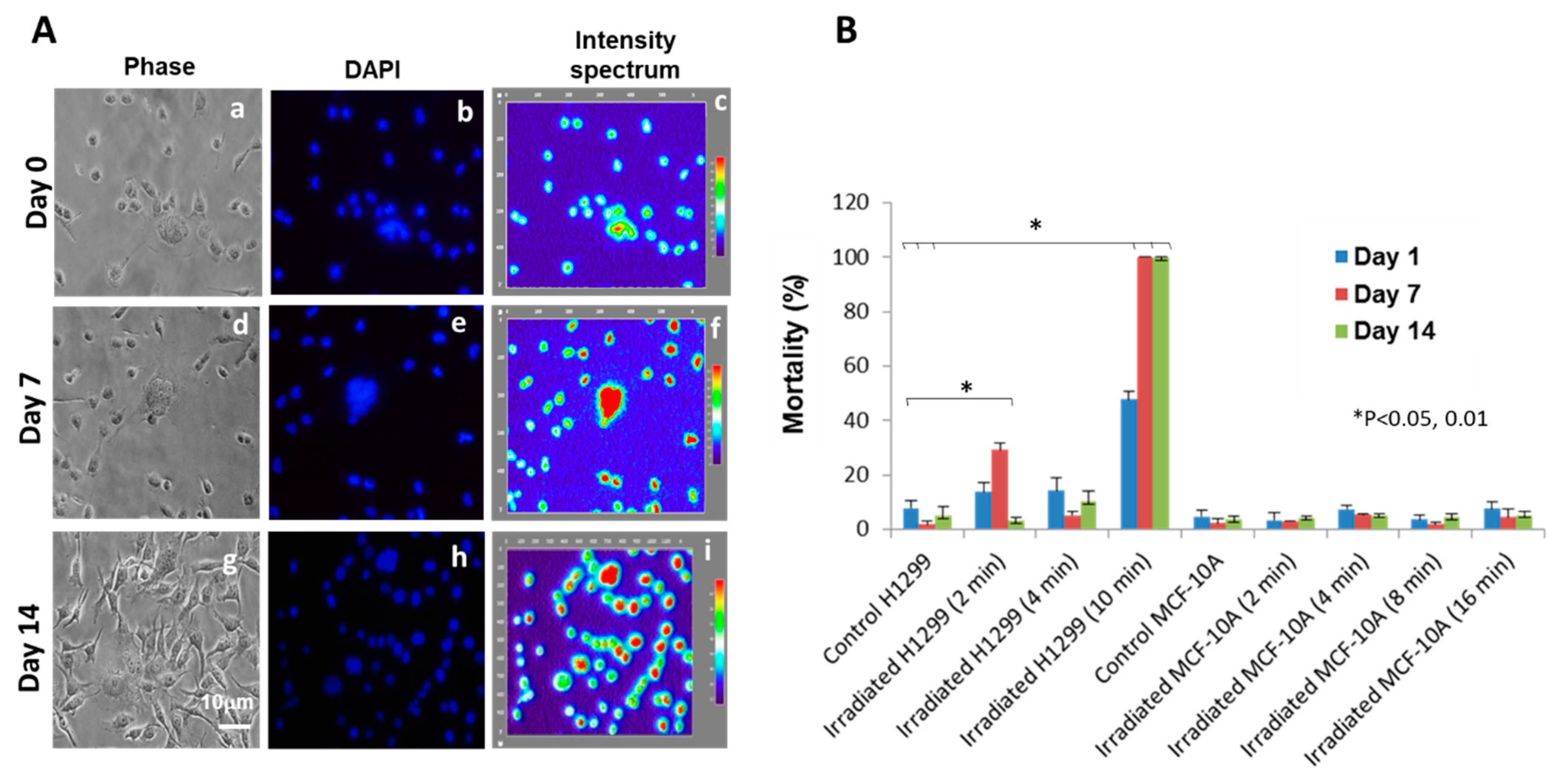 Applsci 10 04813 g004 Applsci 10 04813 g004