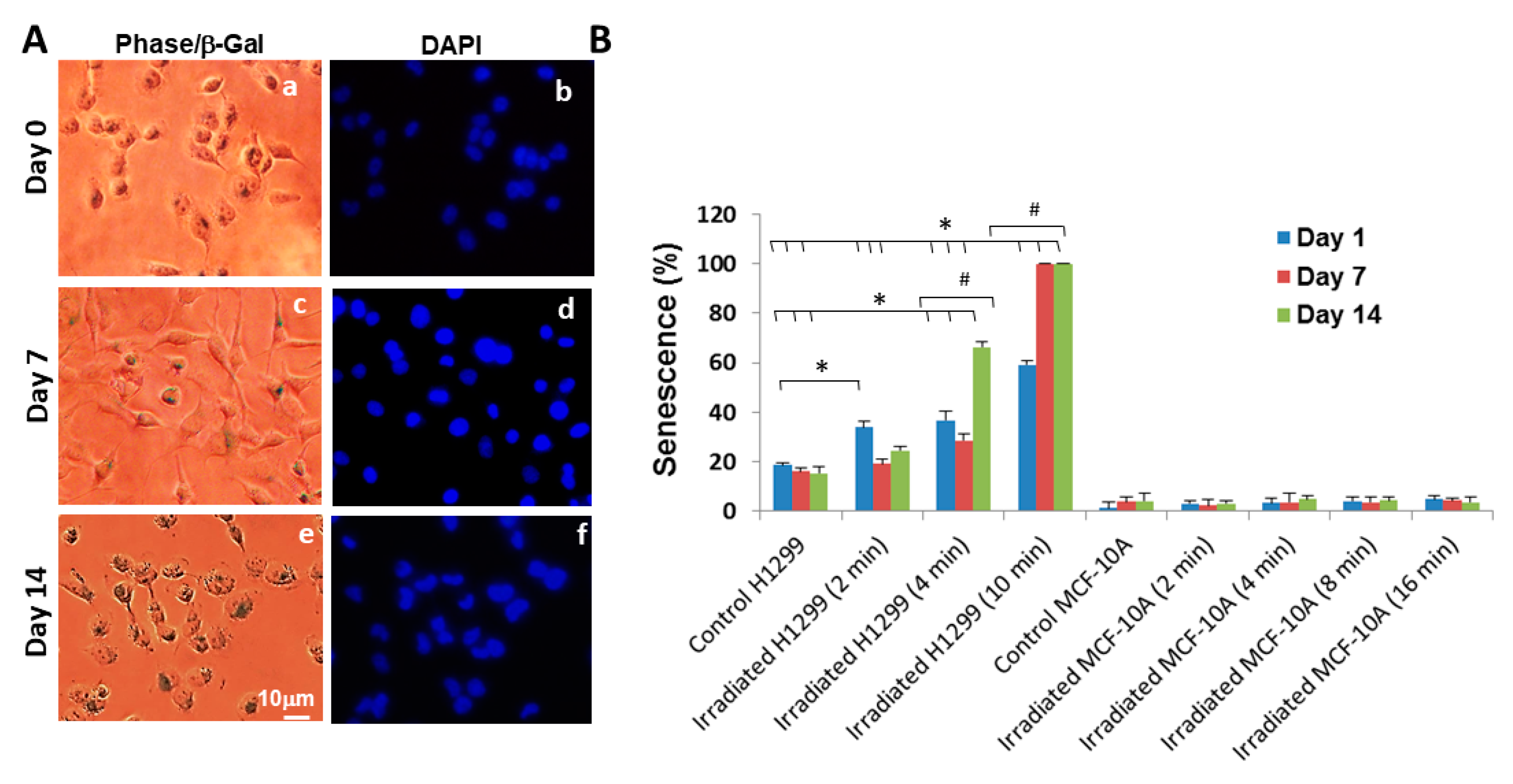 Applsci 10 04813 g005 Applsci 10 04813 g005