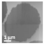 Applsci 10 04836 i001