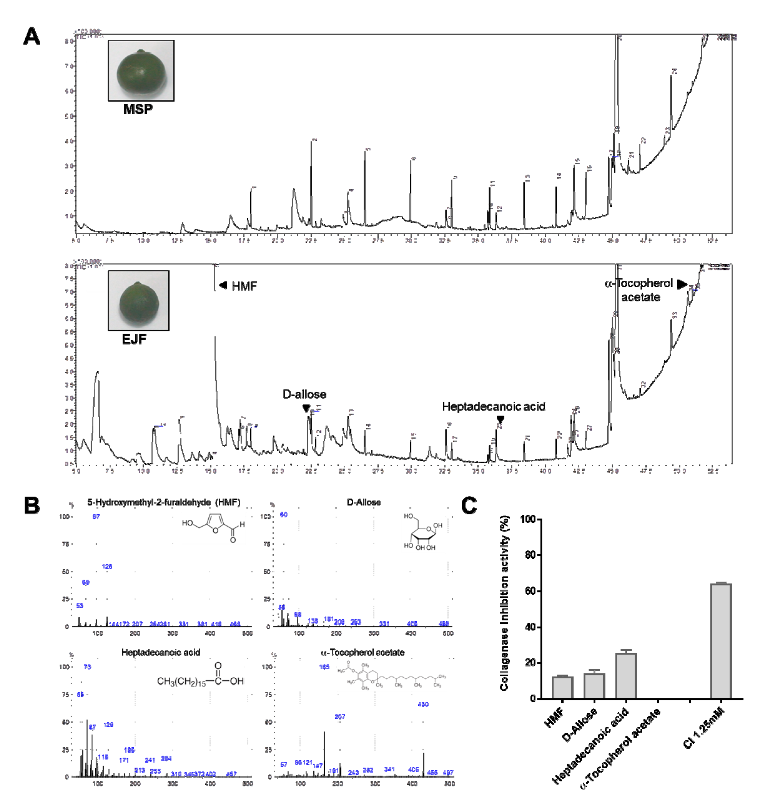 Applsci 10 04838 g003