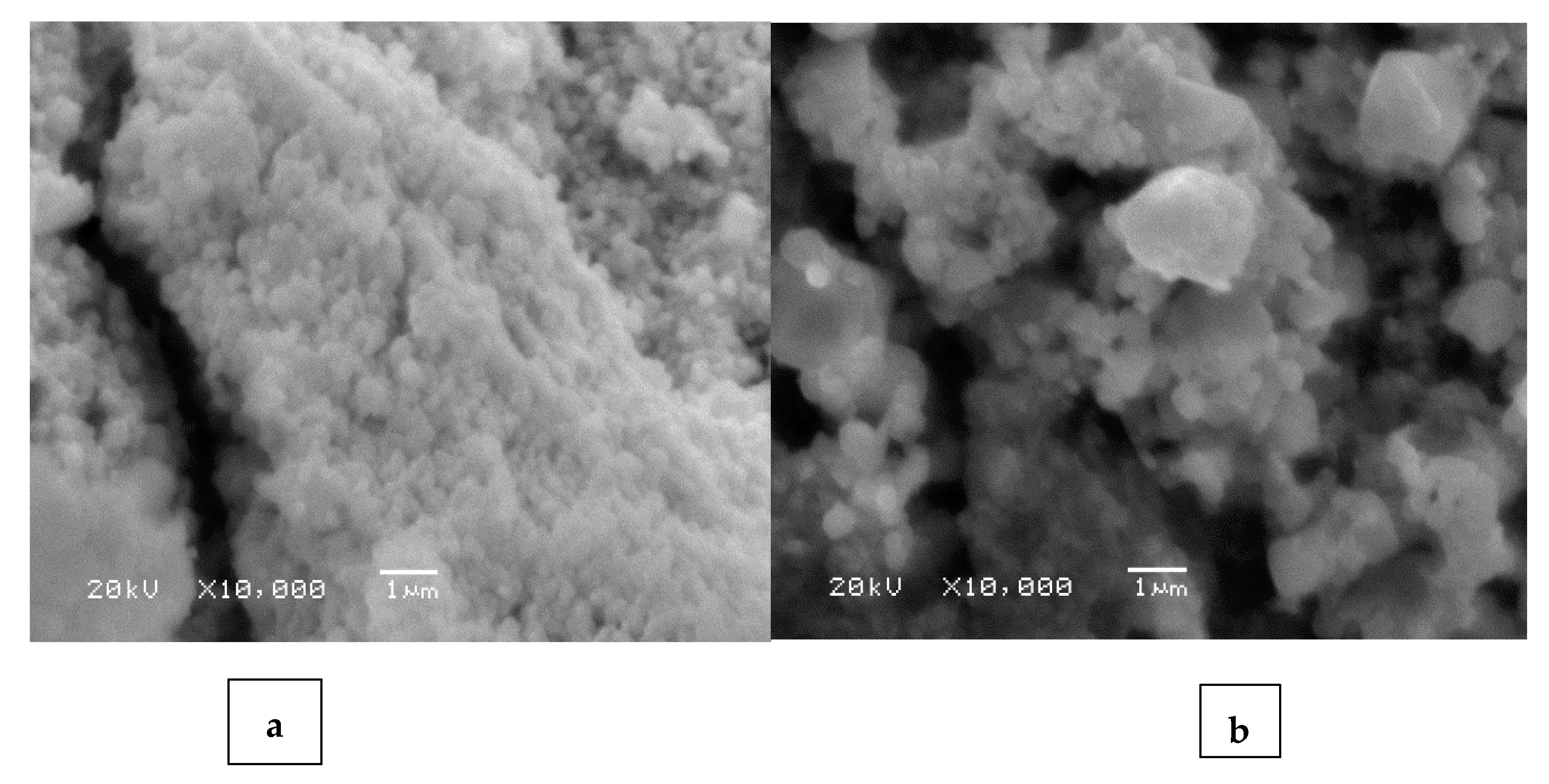 Applsci 10 04840 g005 Applsci 10 04840 g005