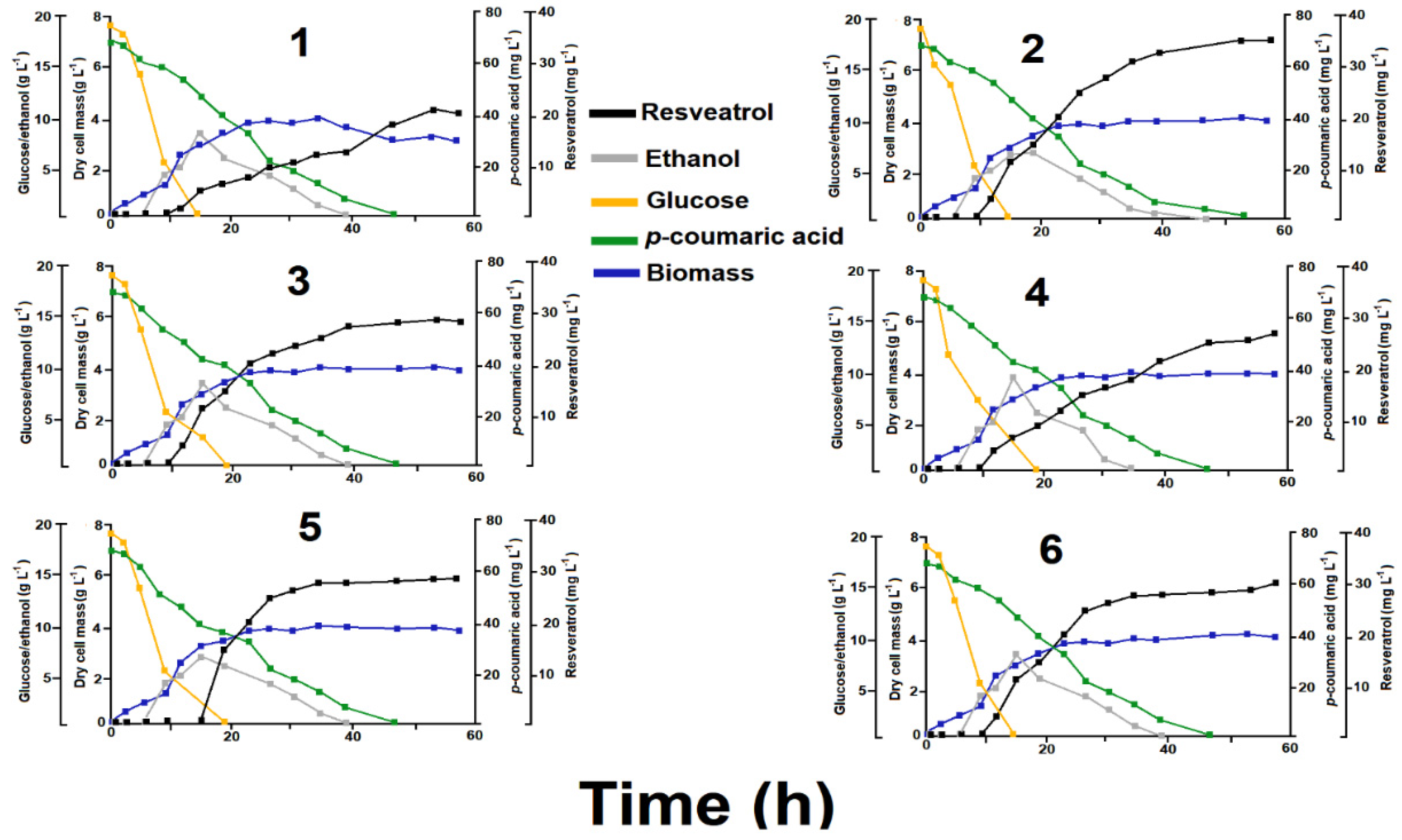 Applsci 10 04847 g004