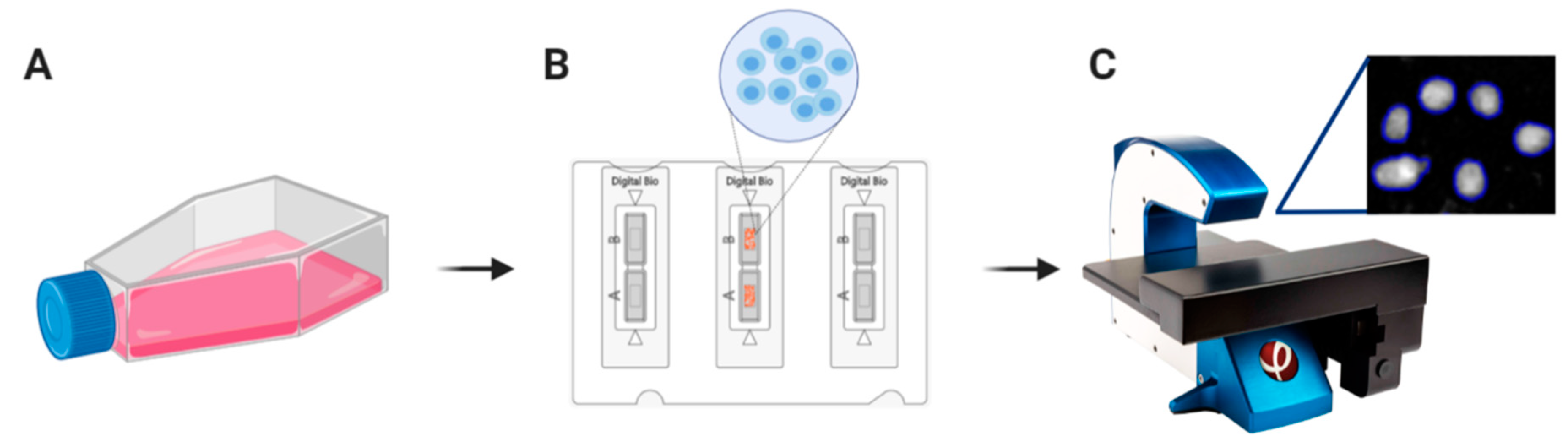 Applsci 10 04854 g001 Applsci 10 04854 g001