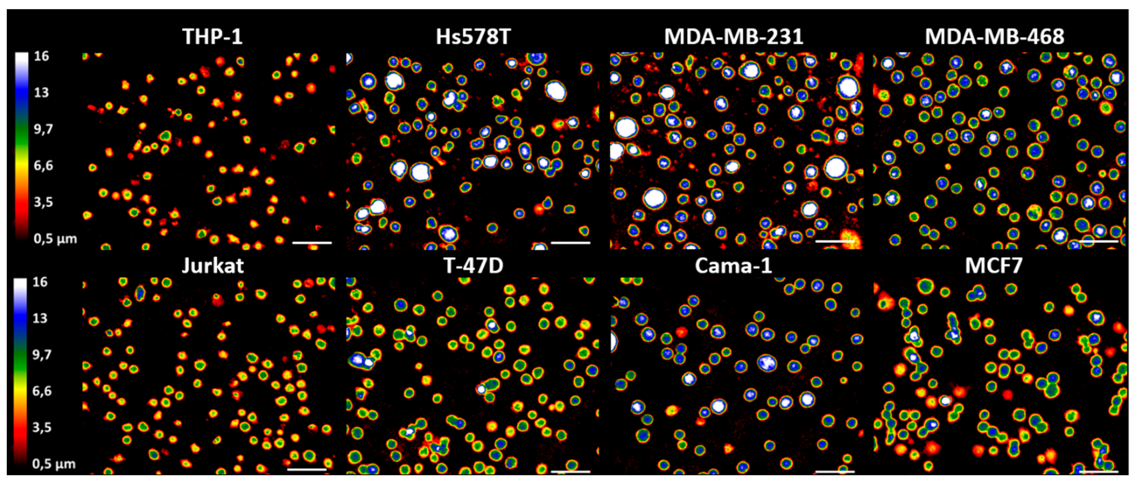 Applsci 10 04854 g002 Applsci 10 04854 g002