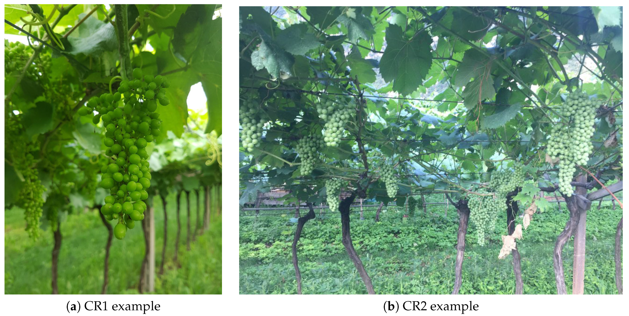 Applsci 10 04870 g003 Applsci 10 04870 g003