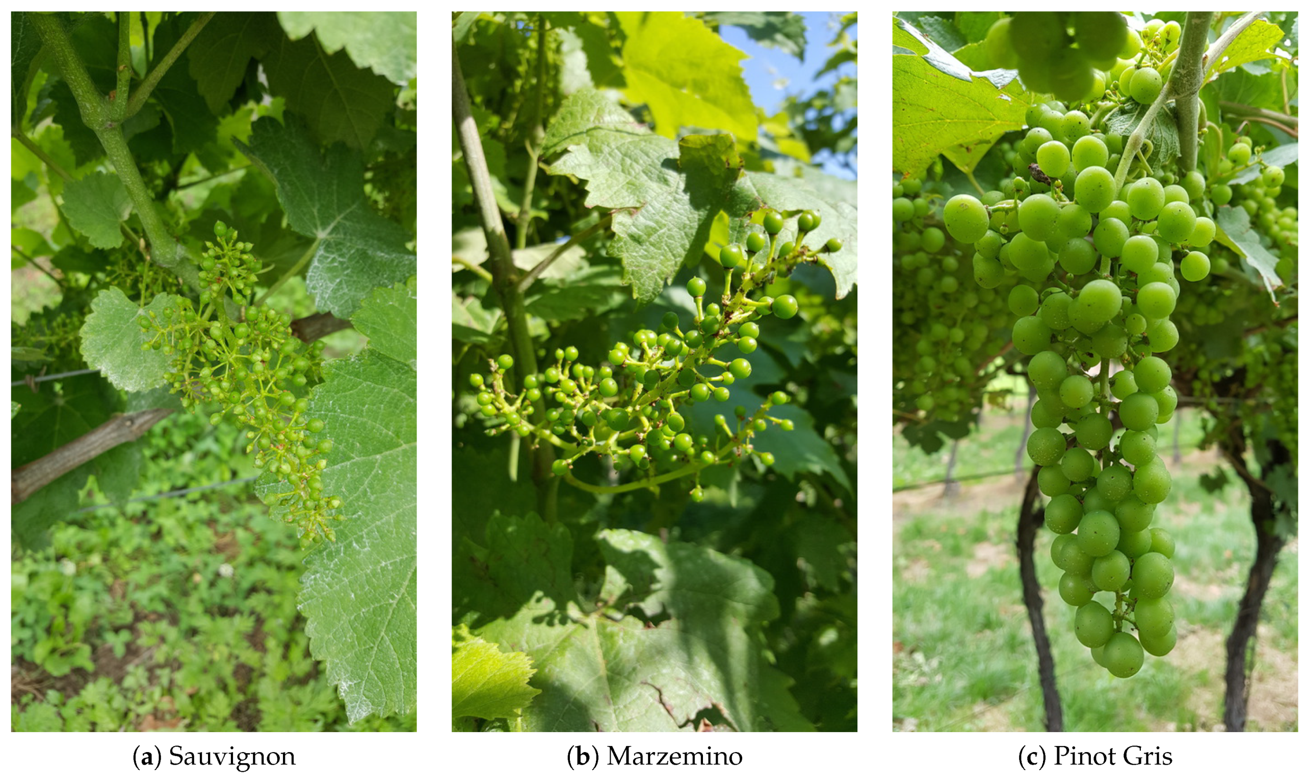 Applsci 10 04870 g006 Applsci 10 04870 g006