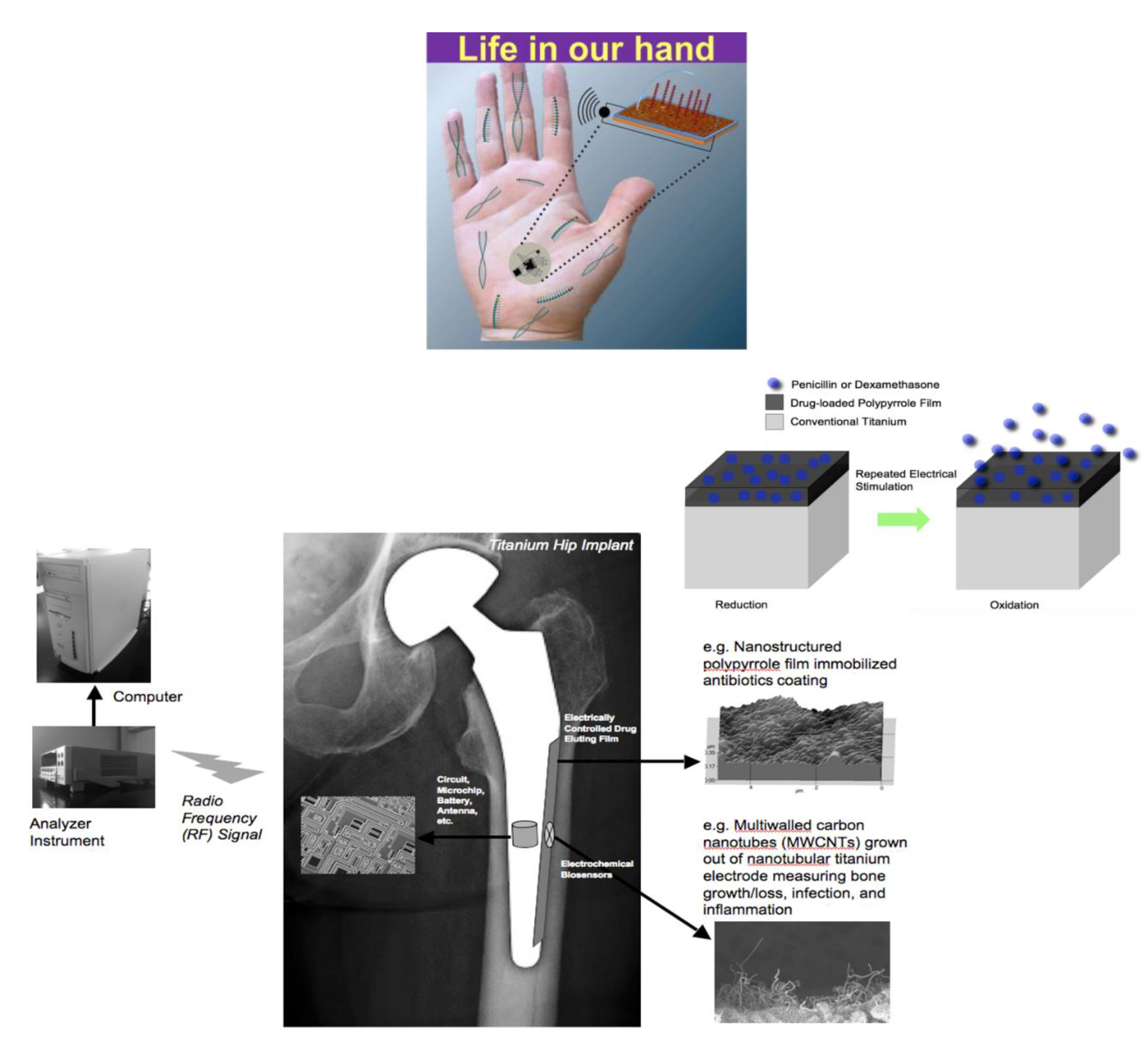 Applied Sciences Free Full Text Advances In Translational Nanotechnology Challenges And Opportunities Html