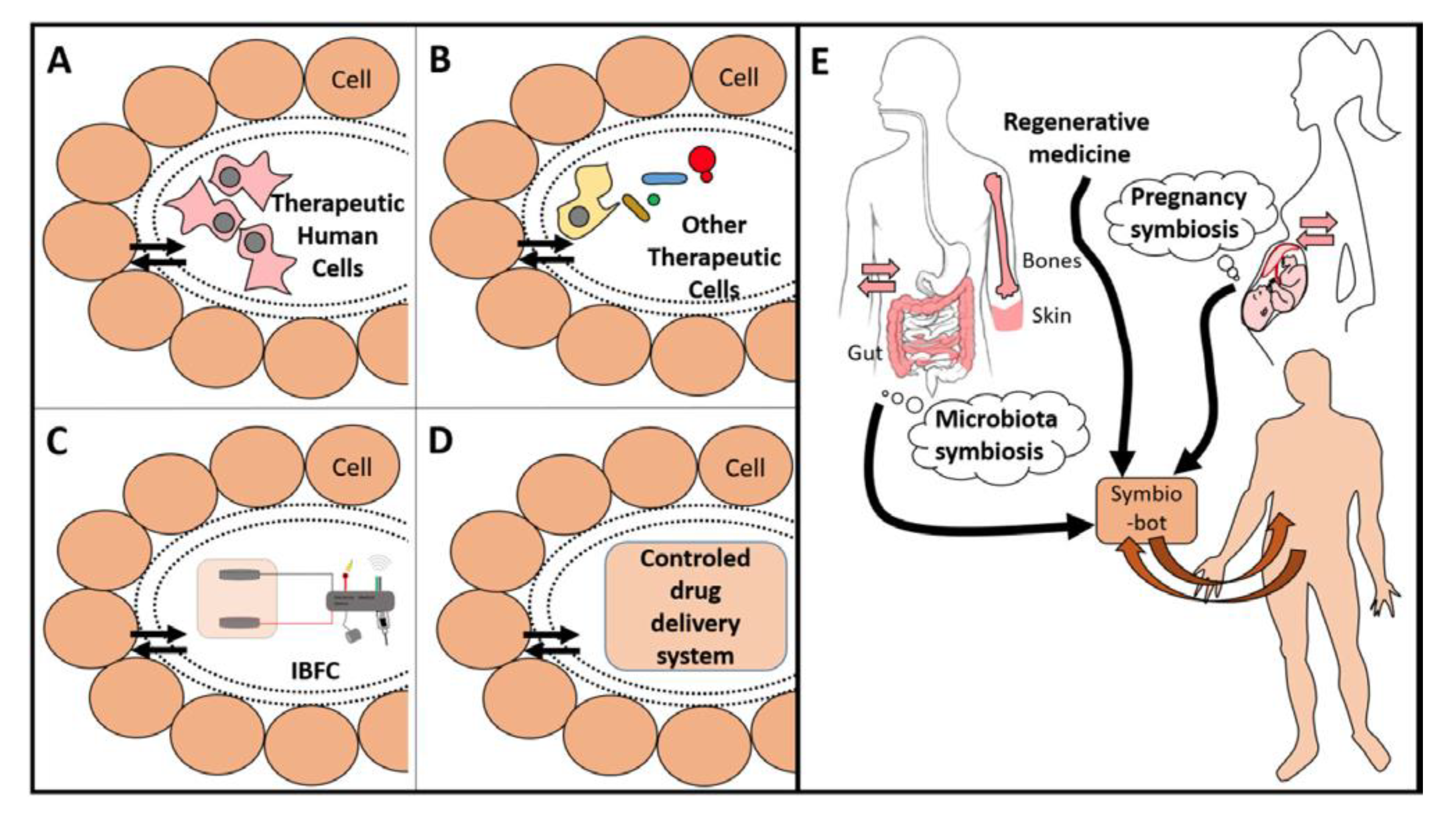 Applsci 10 04881 g002