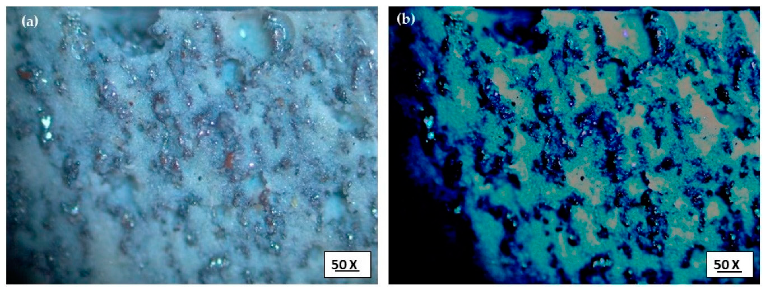 Applsci 10 04899 g012 Applsci 10 04899 g012