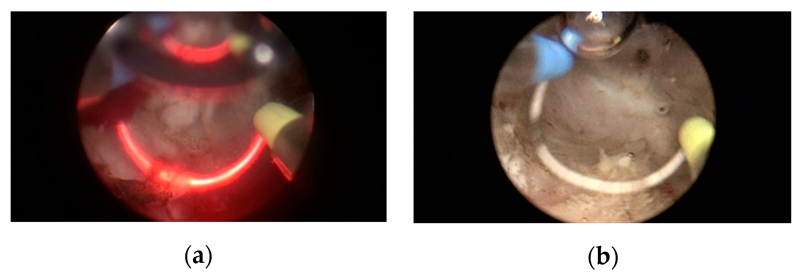 Applsci 10 04908 g002 Applsci 10 04908 g002