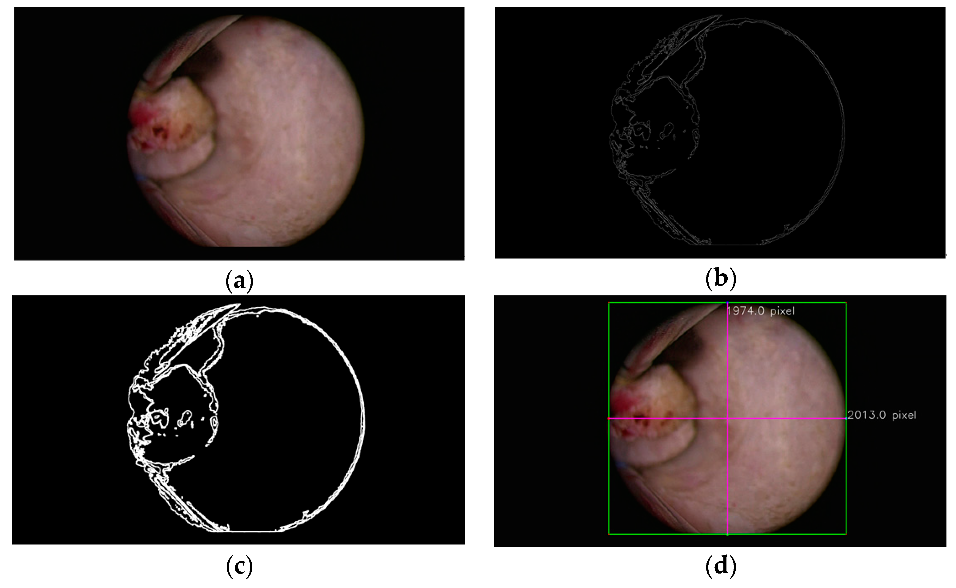 Applsci 10 04908 g007 Applsci 10 04908 g007