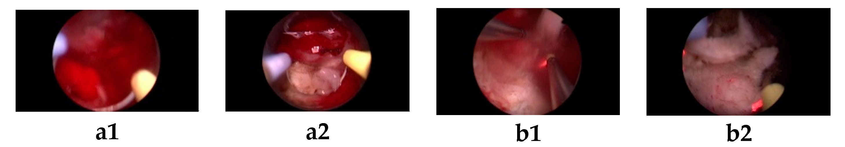 Applsci 10 04908 g010 Applsci 10 04908 g010