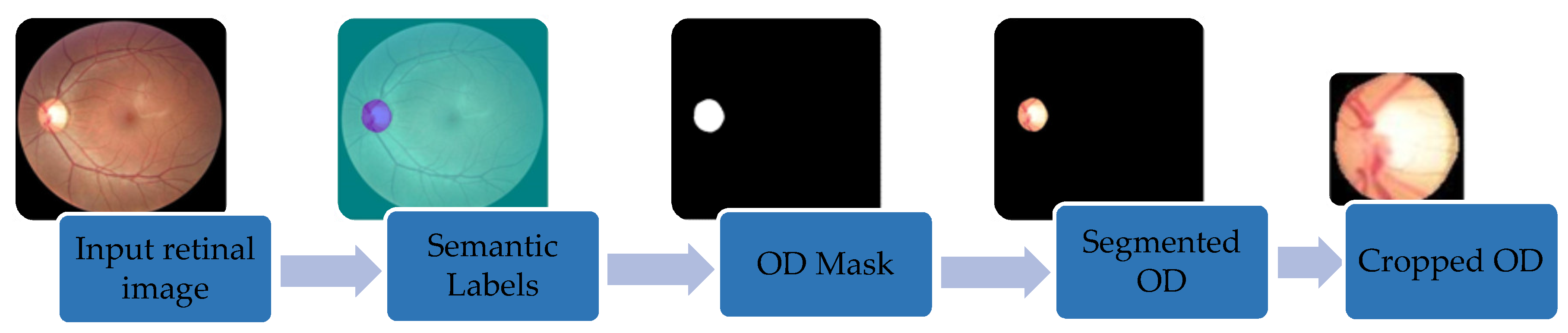 Applsci 10 04916 g004