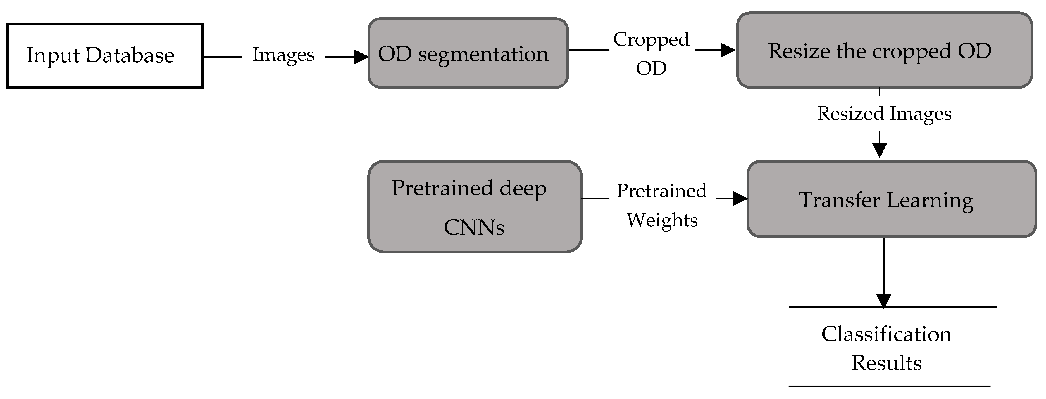 Applsci 10 04916 g005