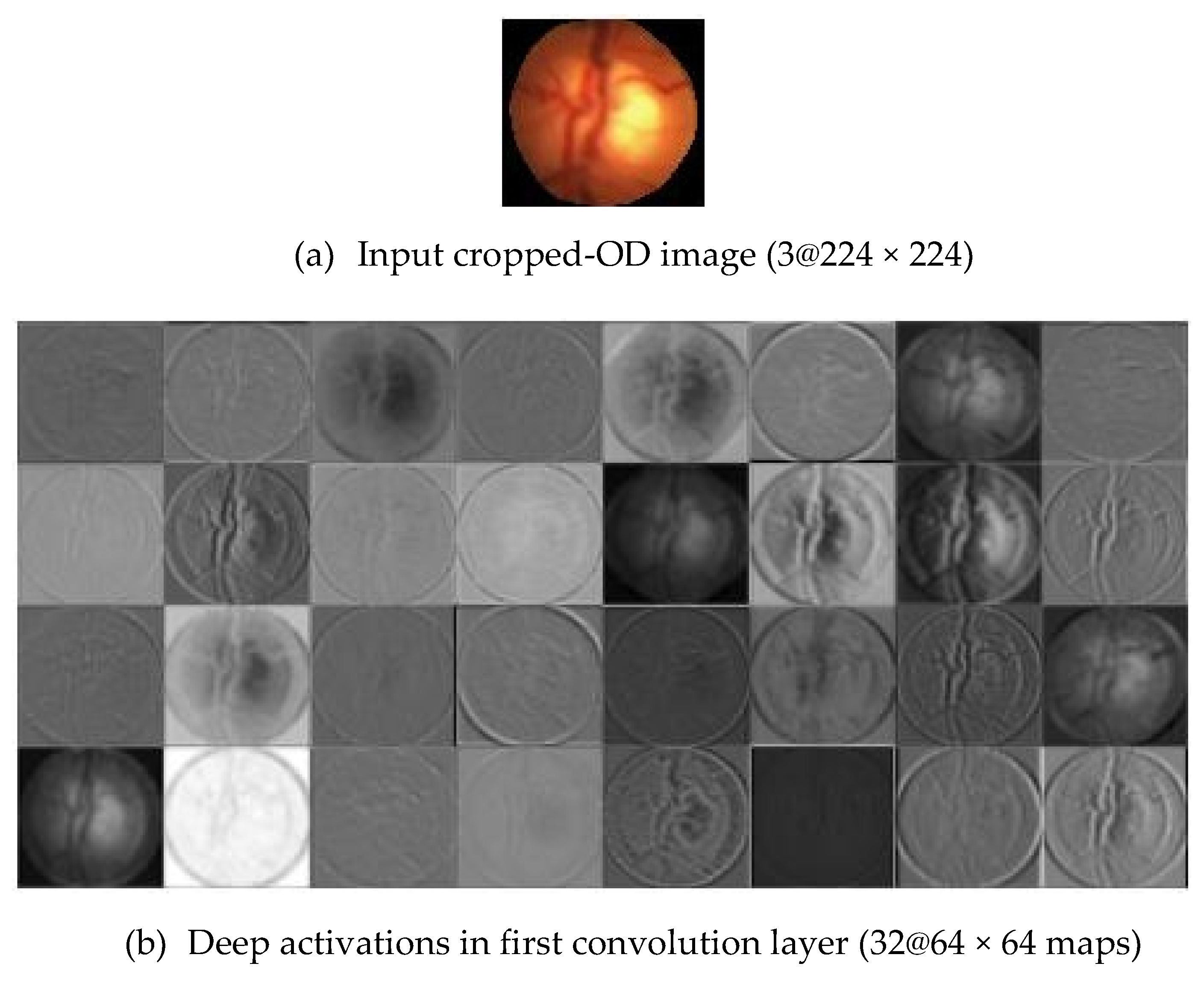 Applsci 10 04916 g007a