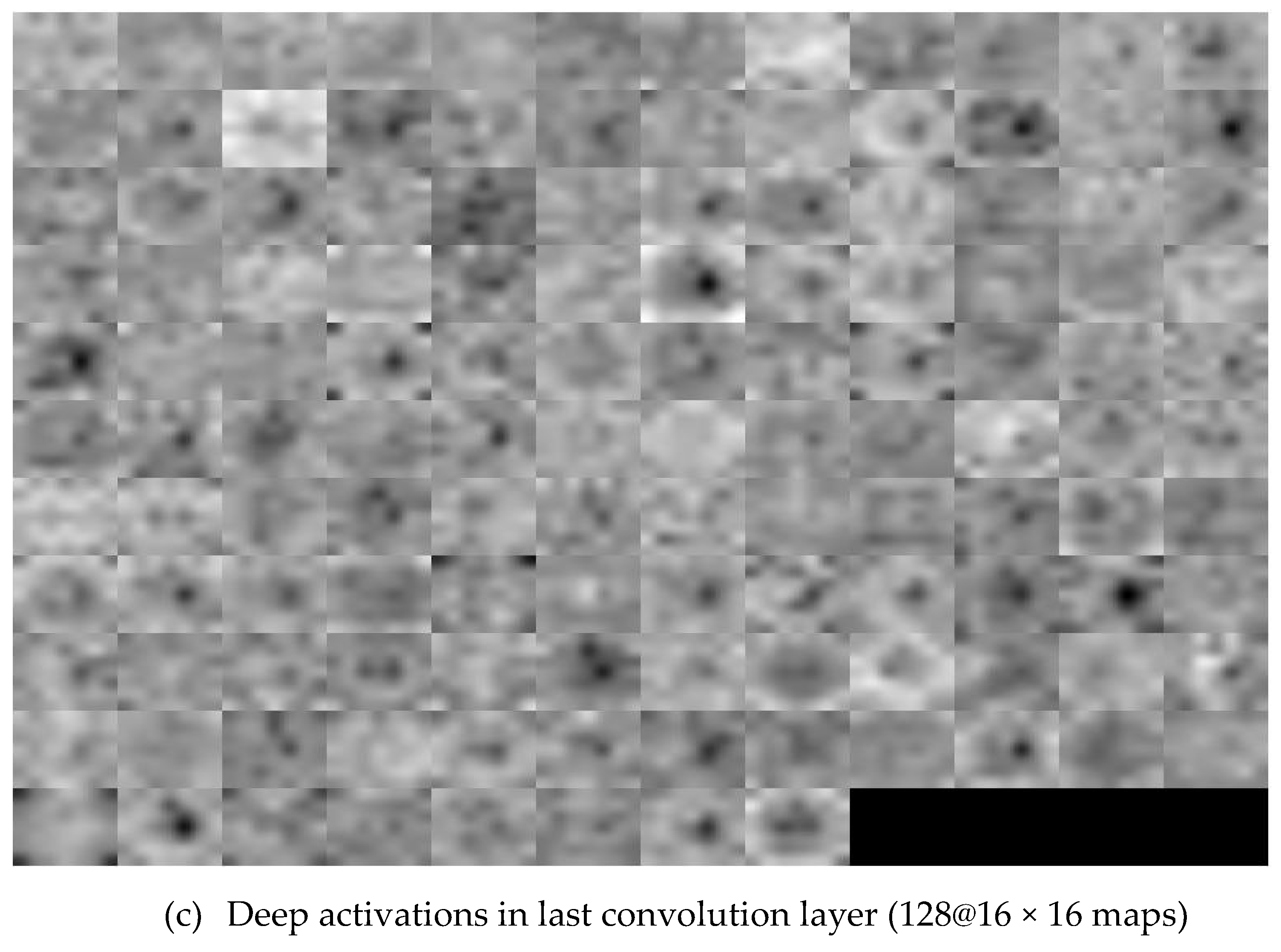 Applsci 10 04916 g007b