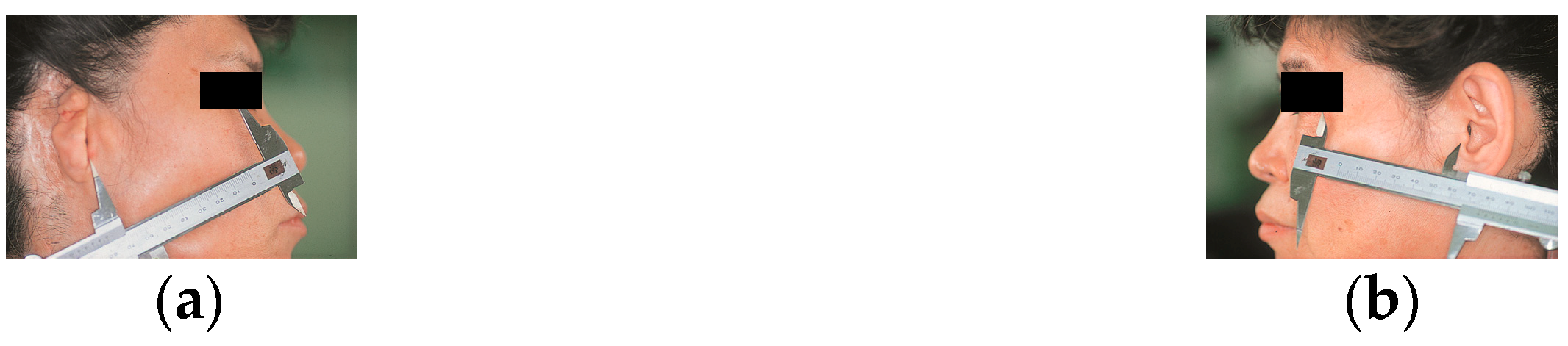 Applsci 10 04922 g001 Applsci 10 04922 g001