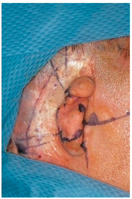 Applsci 10 04922 g005 Applsci 10 04922 g005