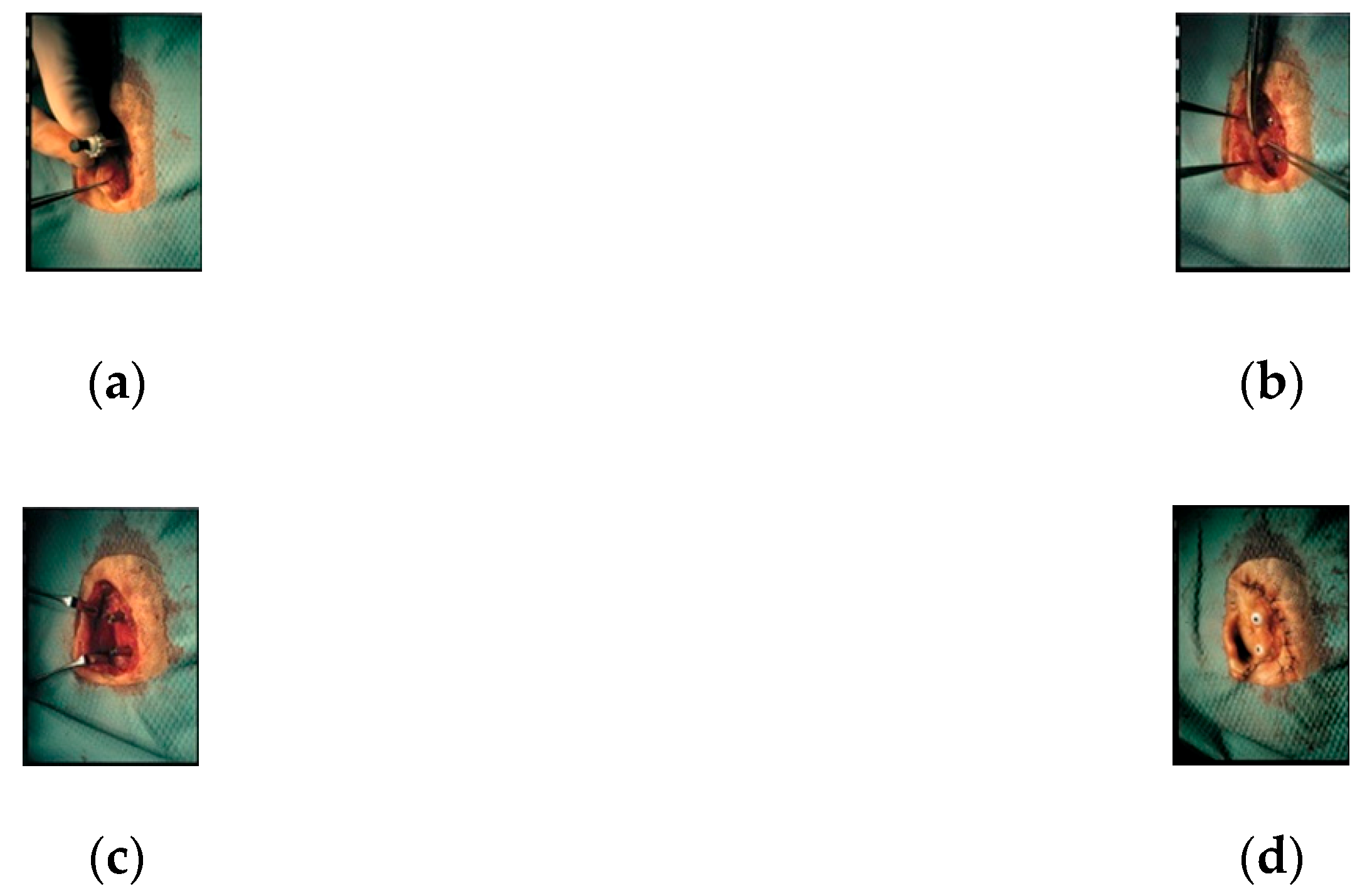 Applsci 10 04922 g009 Applsci 10 04922 g009