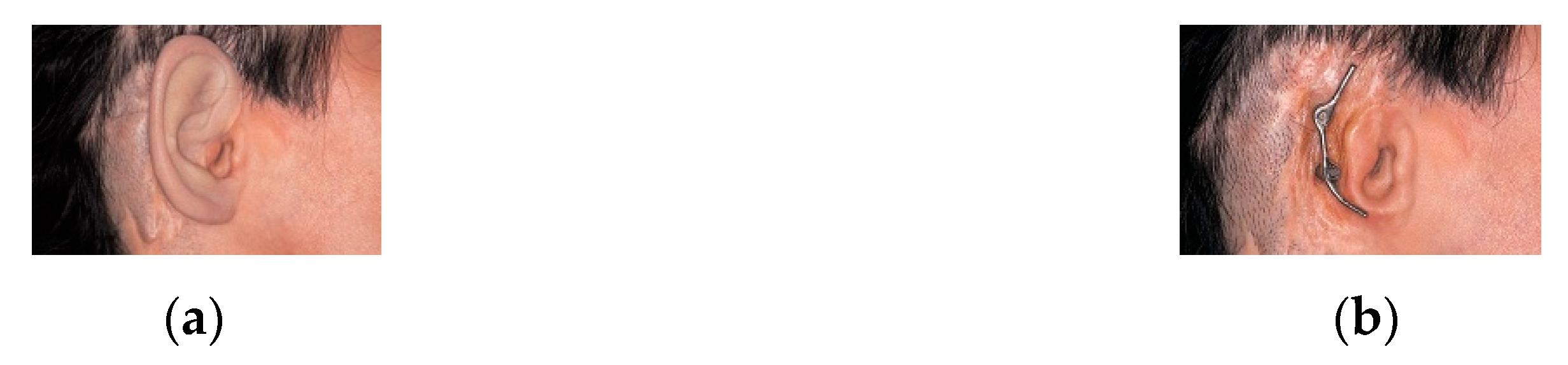 Applsci 10 04922 g012 Applsci 10 04922 g012