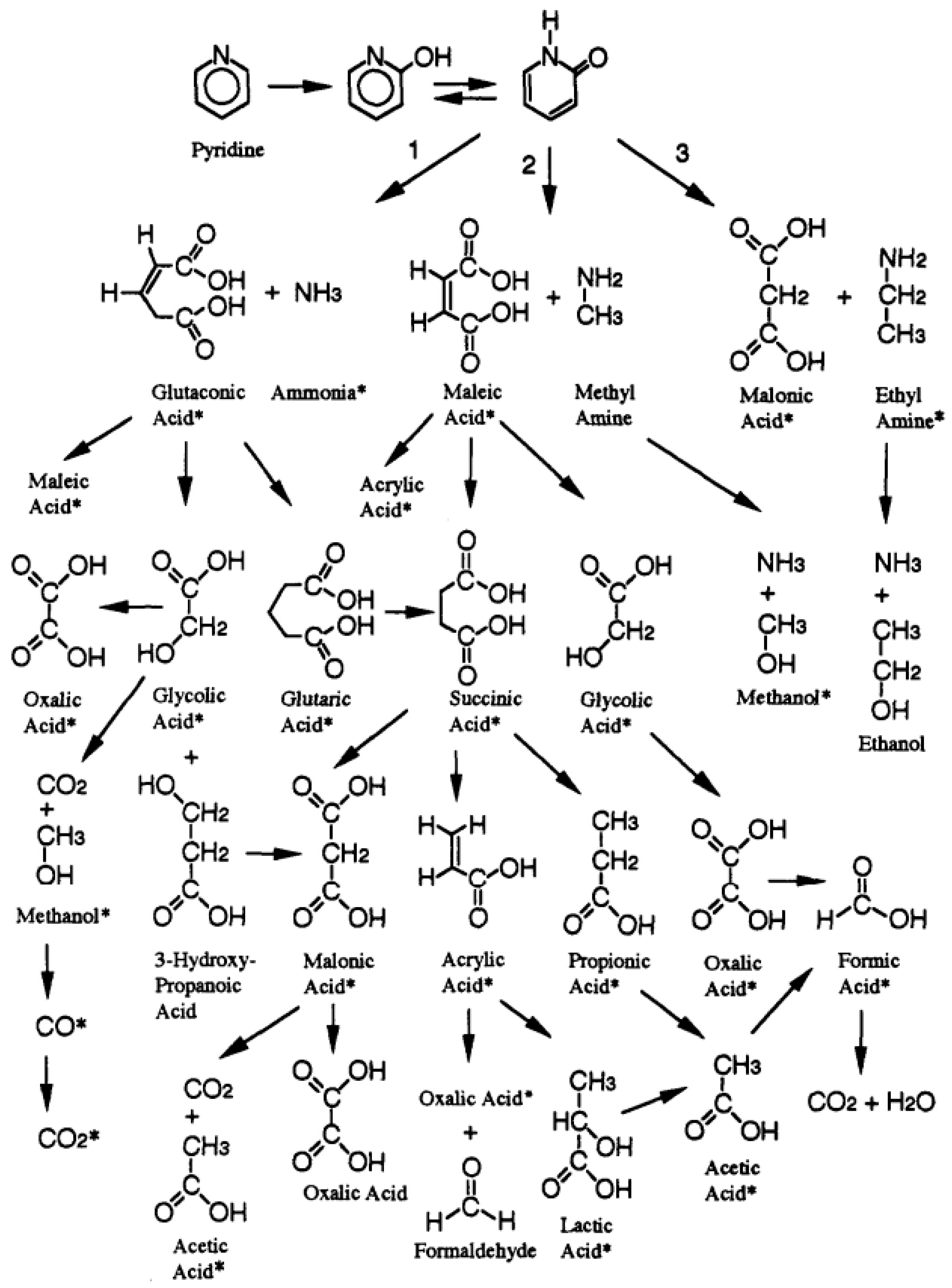 Applsci 10 04937 g009