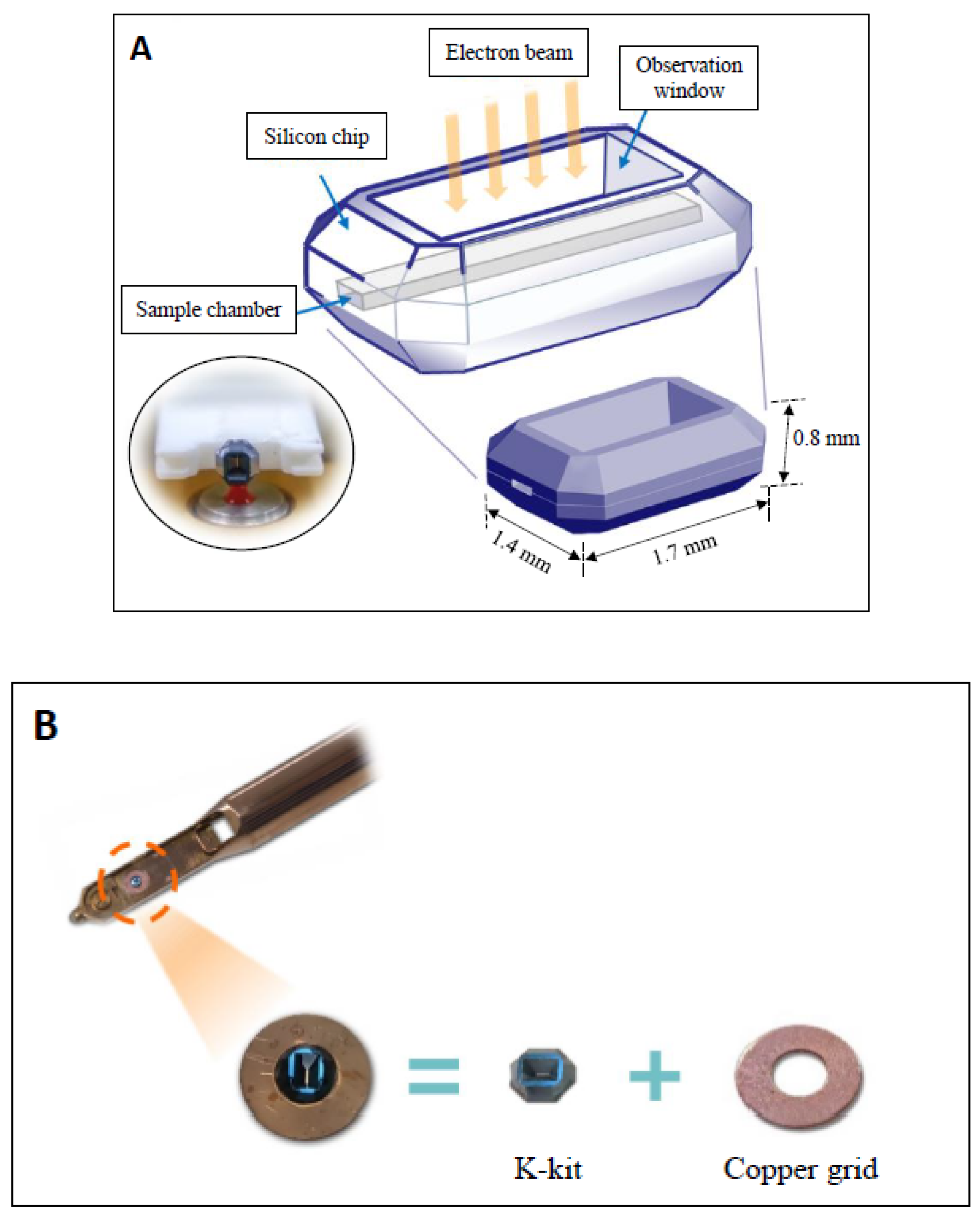 Applsci 10 04946 g001 Applsci 10 04946 g001