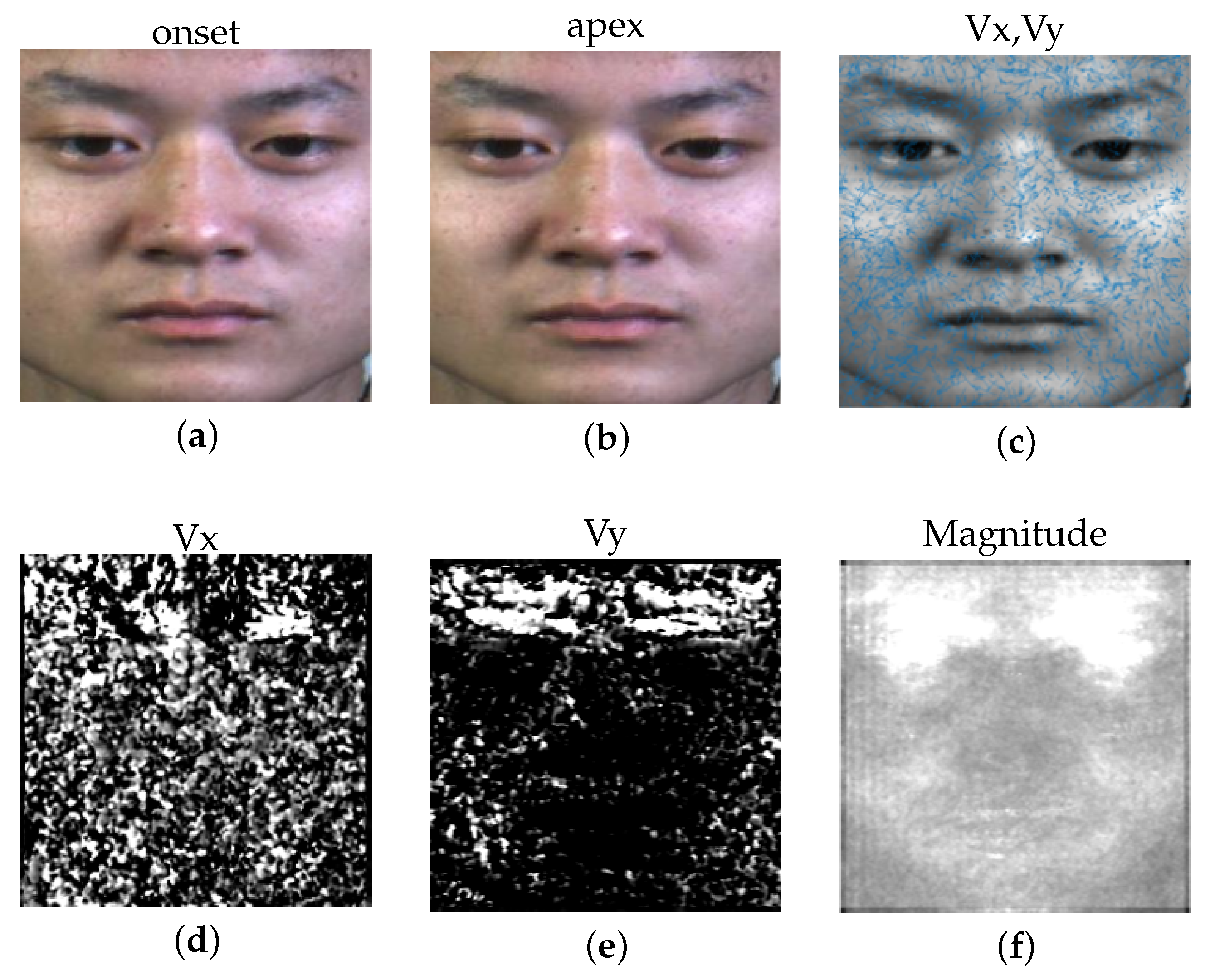 Applsci 10 04959 g003