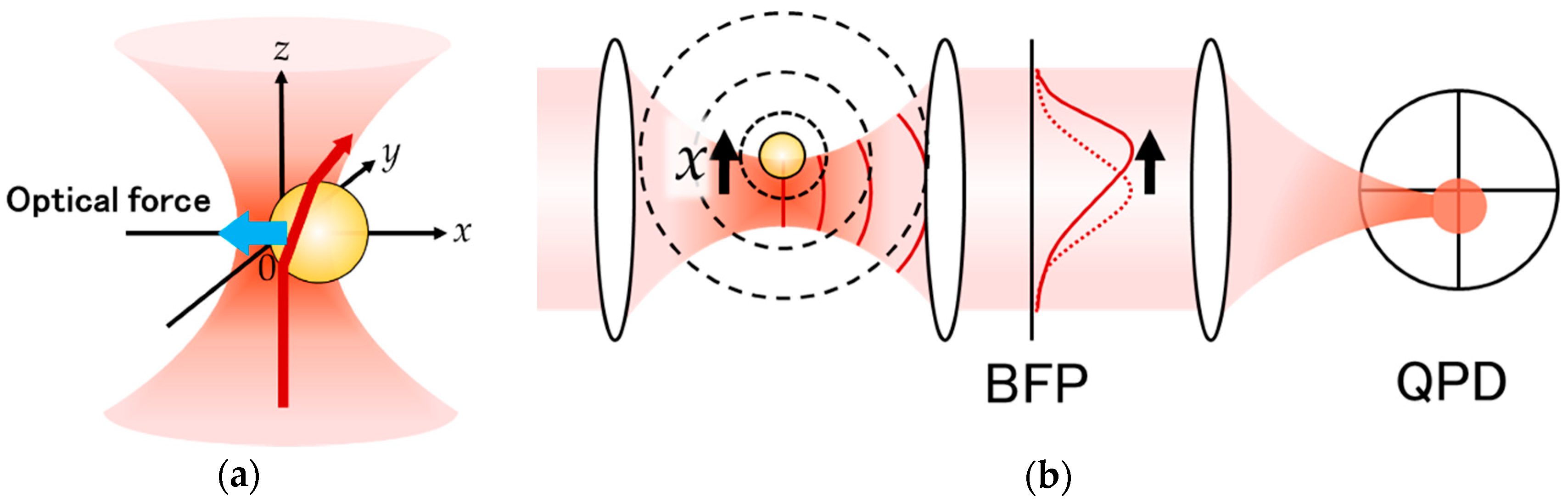 Applsci 10 04970 g001