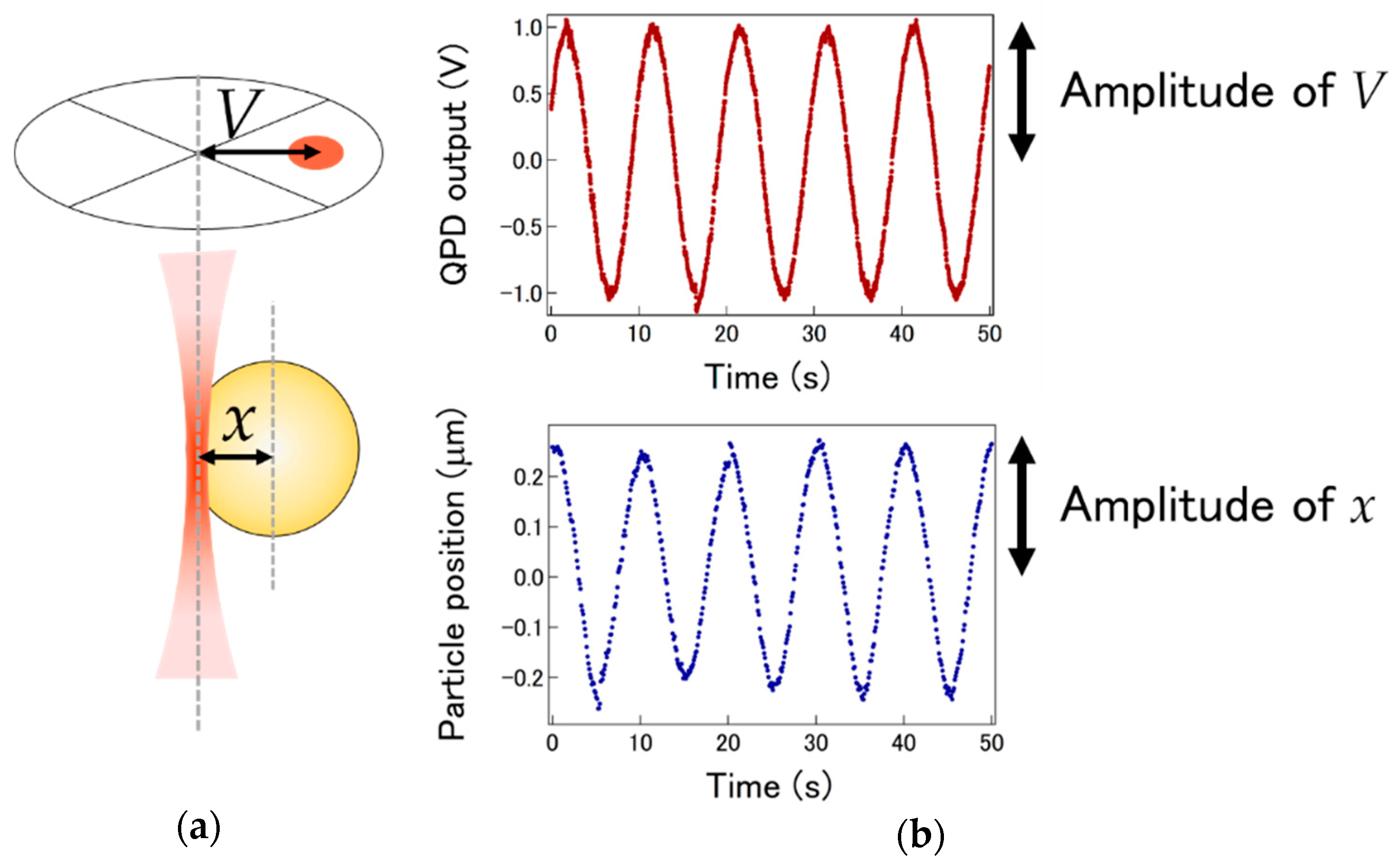 Applsci 10 04970 g003