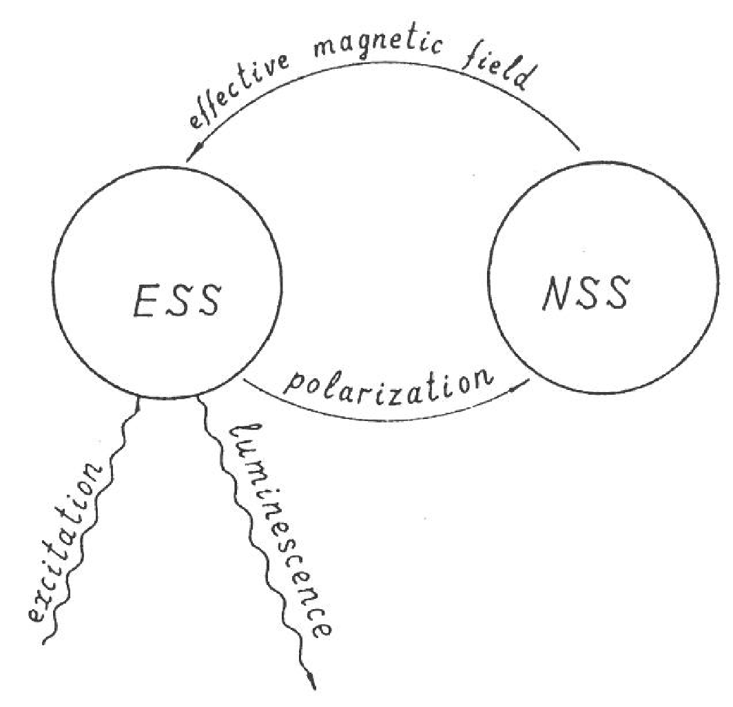 Applsci 10 04992 g006 Applsci 10 04992 g006