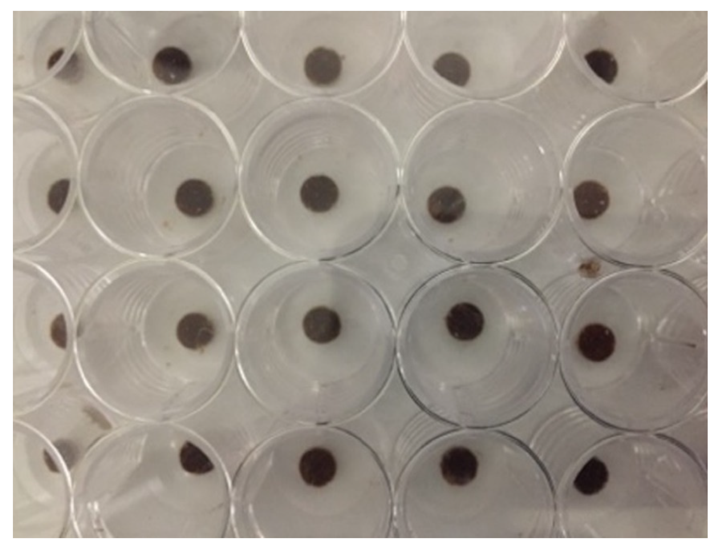 Applied Sciences Free Full Text Cytotoxicity And Uv Light Absorption In Biopolymeric Membranes From Native Vegetation Of Mexico Html Applied Sciences Free Full Text Cytotoxicity And Uv Light Absorption In Biopolymeric Membranes From Native Vegetation Of Mexico Html