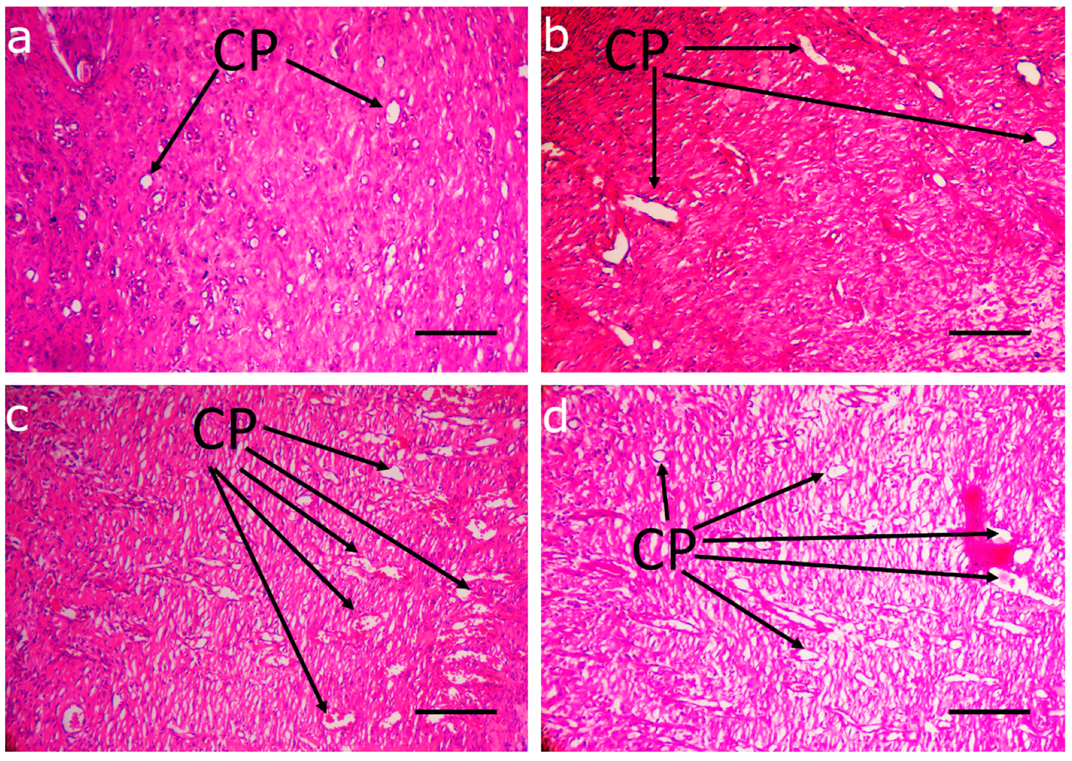 Applsci 10 05010 g005 Applsci 10 05010 g005