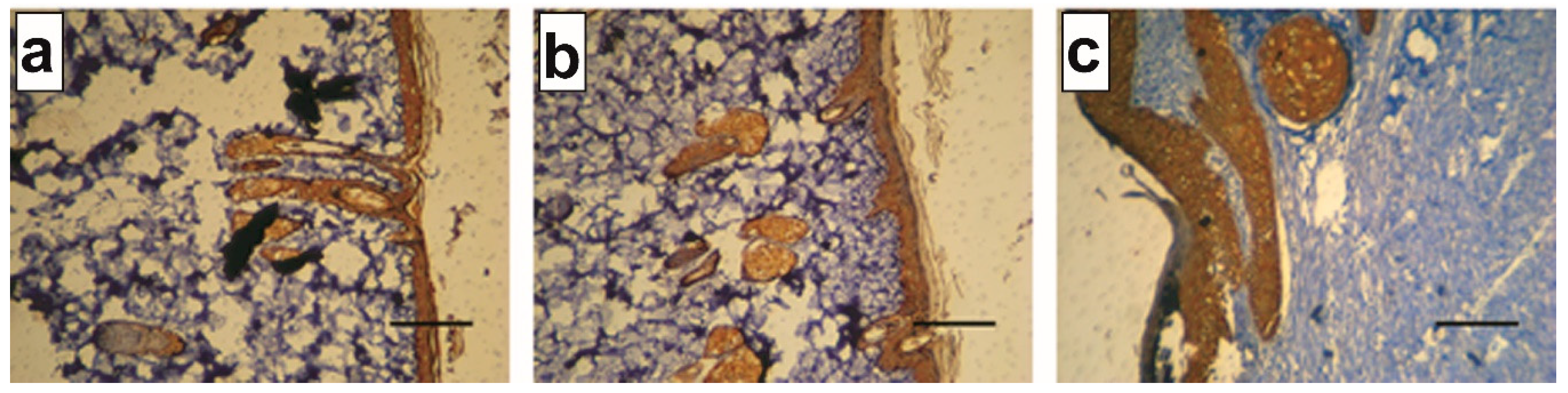 Applsci 10 05010 g006 Applsci 10 05010 g006